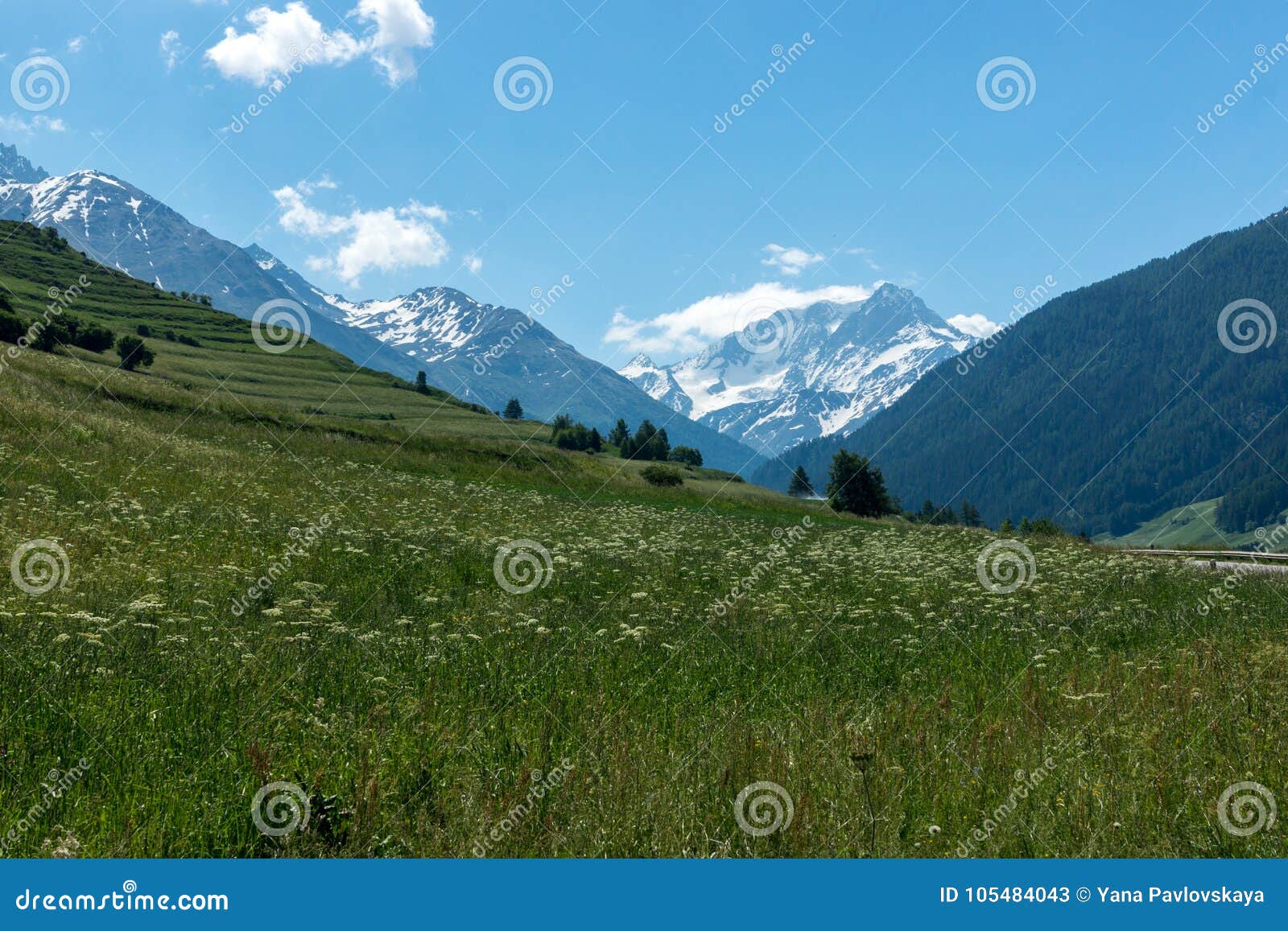 Beautiful Green Valley With Covered Snow Mountain Peaks Stock Image