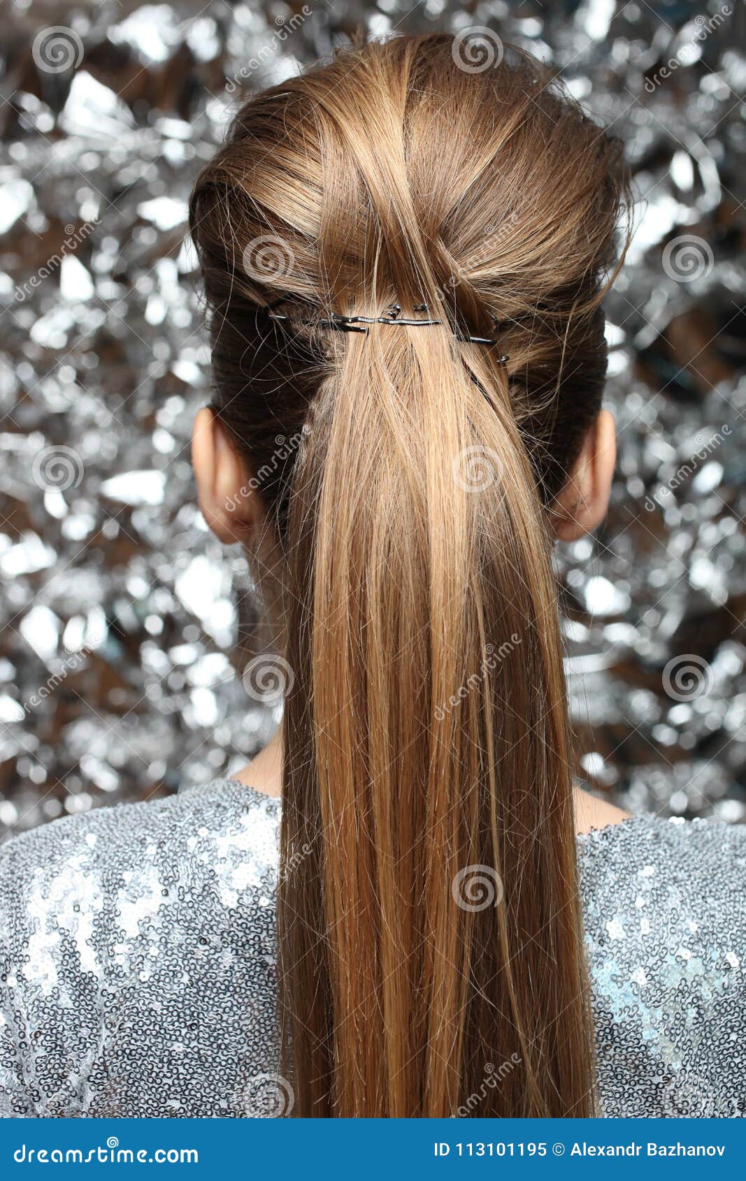 Beautiful Hairstyle with a Girl with Long Hair Stock Image - Image of  person, long: 113101195