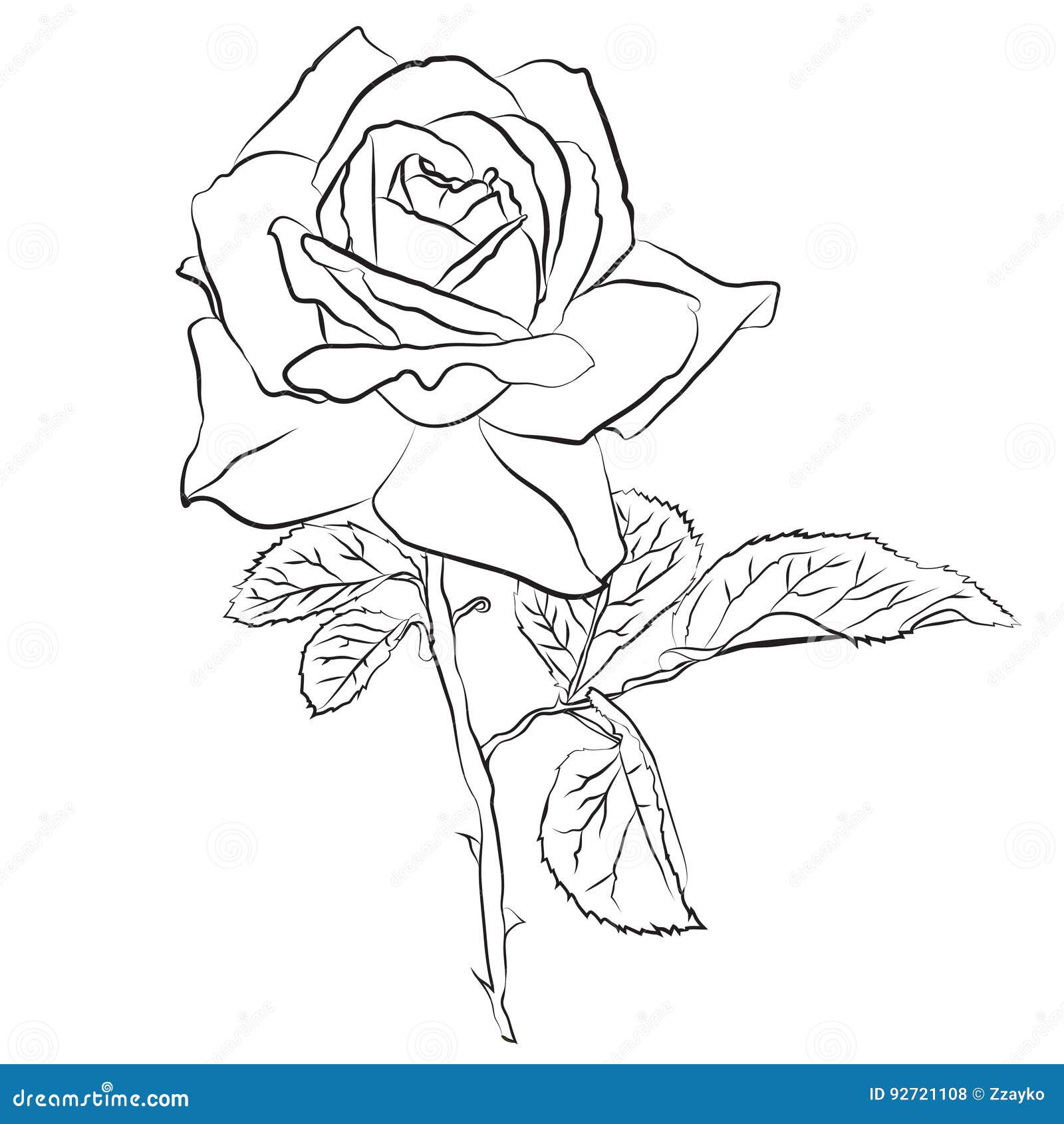 Beautiful Hand Drawn Sketch Rose, Isolated Black Contur on White ...