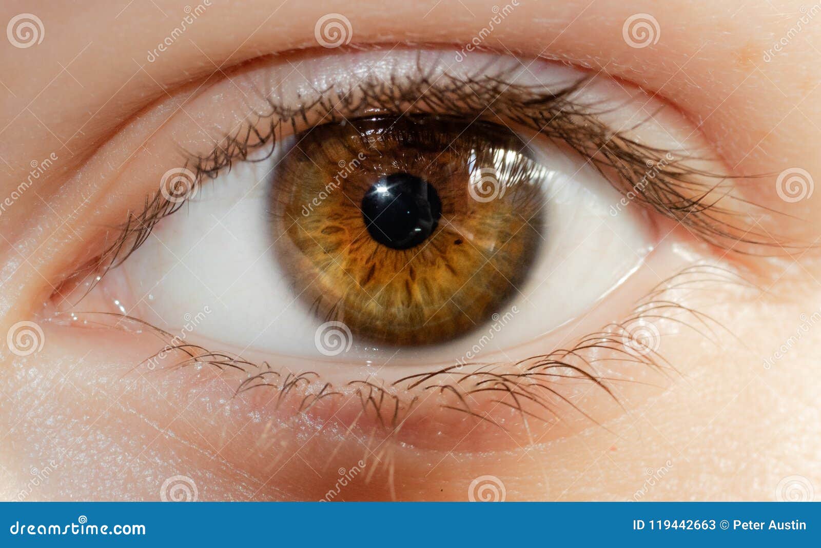 a beautiful hazel eye close up