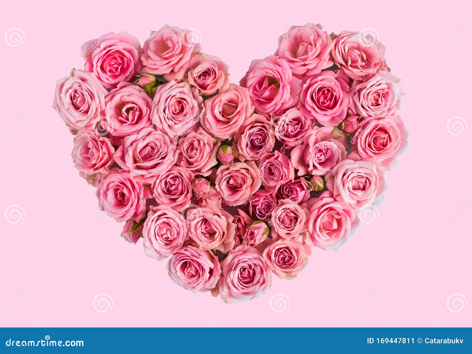 Beautiful Heart Made of Beautiful Pink Roses on a Pink Background. I Love You. Greeting `s `s Day Stock Image - Image of closeup, flirting: 169447811 Beautiful Heart Made of Beautiful Pink Roses on a Pink Background. I Love You. Greeting `s `s Day Stock Image - Image of closeup, flirting: 169447811