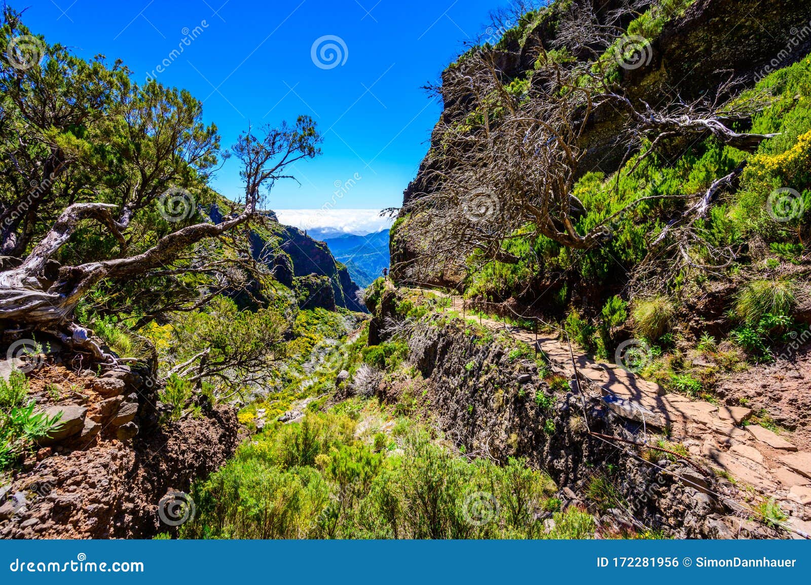 beautiful hiking trail from pico do arieiro to pico ruivo, madeira island. footpath pr1 - vereda do areeiro. on sunny summer day