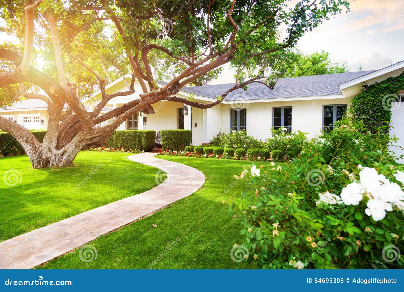 beautiful home with green grass yard