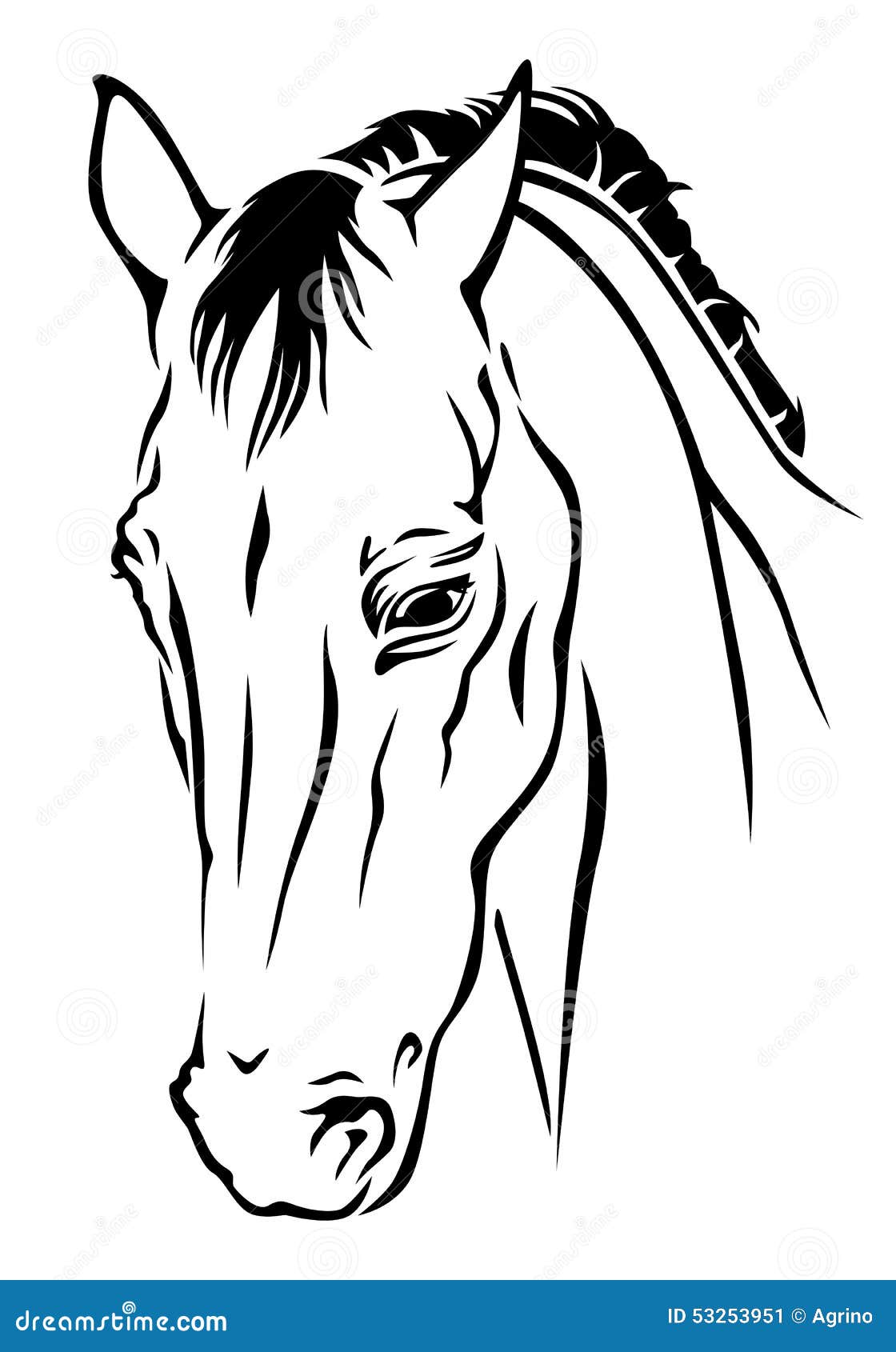 Horse Muzzle Front View. Ink Black And White Doodle Drawing Cartoon