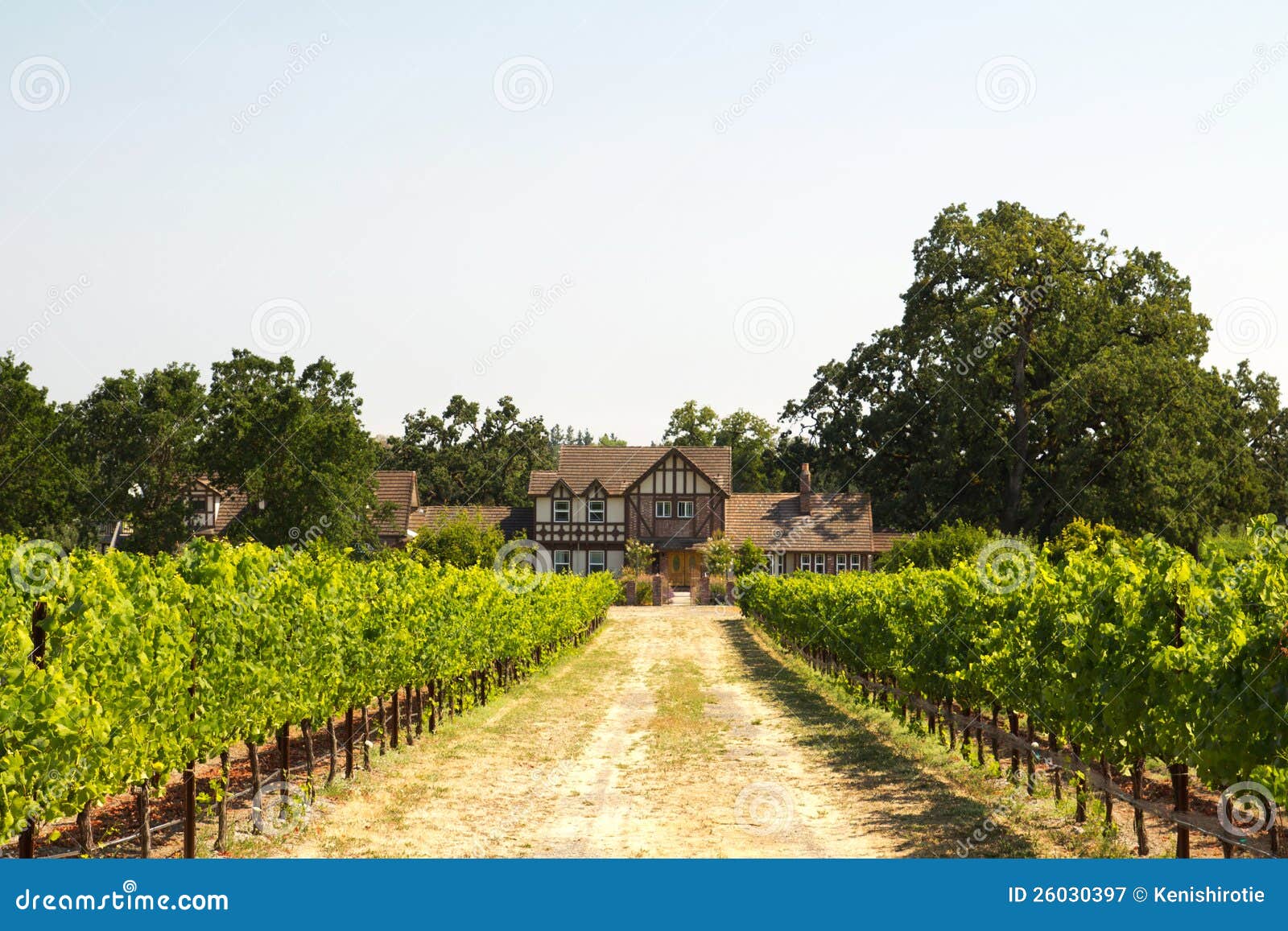 Beautiful House in a Vineyard Stock Image Image of landscape, field