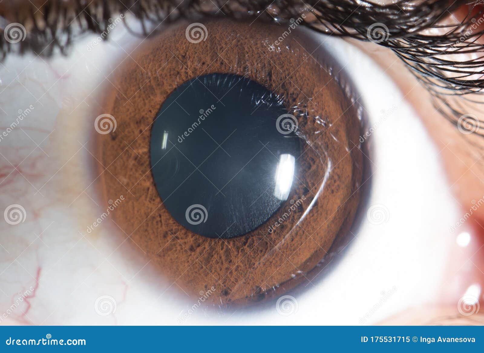 human eye close up