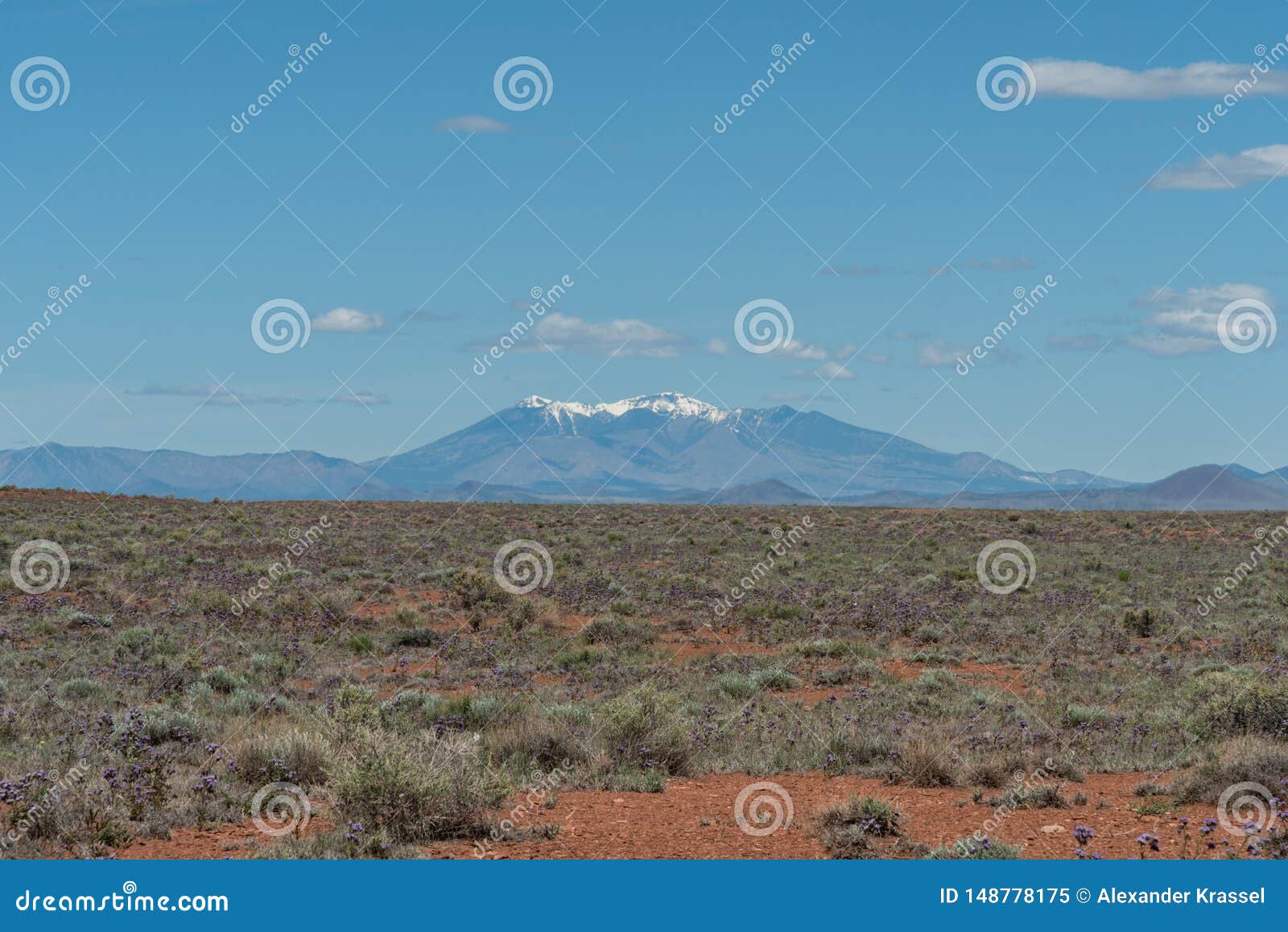 beautiful humphrey`s peak vista in springtime, with the arizona high desert in bloom