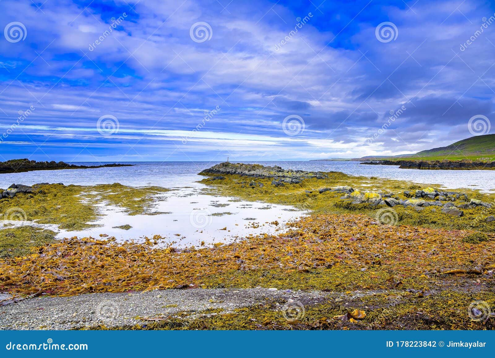 beautiful icelandic fjord in summer