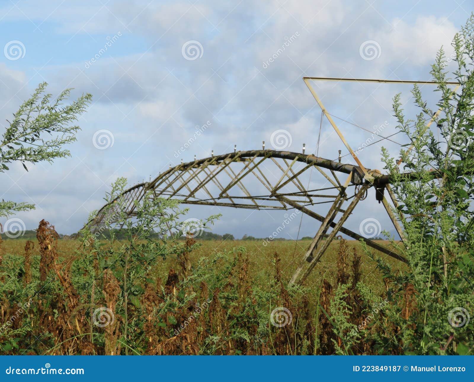 beautiful irrigation system in the field to artificially water called pivot