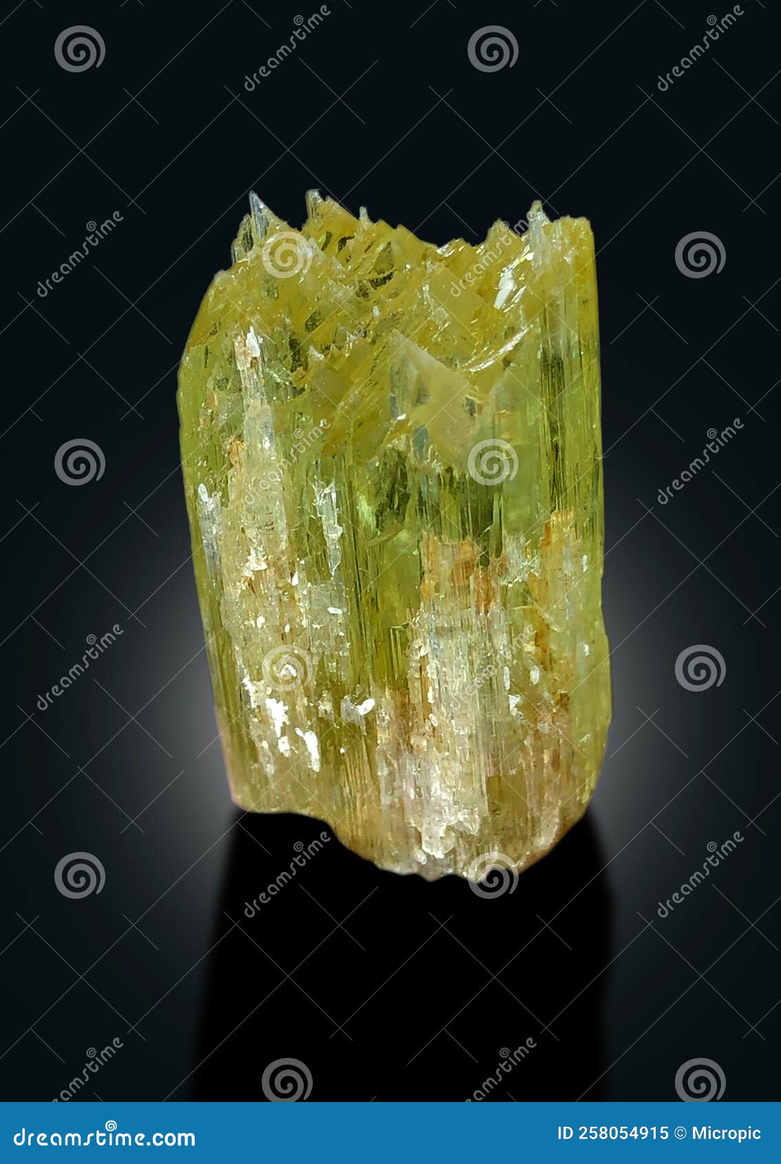 beautiful itched tryphane kunzite var spodumene crystal from afghanistan