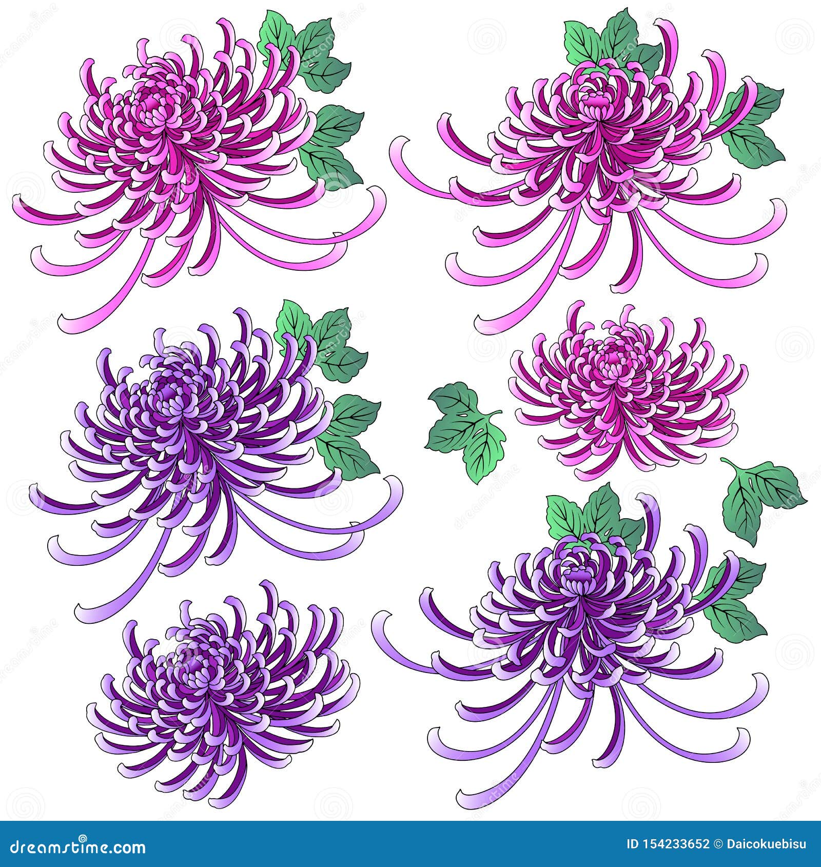 Beautiful Japanese Style Chrysanthemum Illustration Stock Vector ...