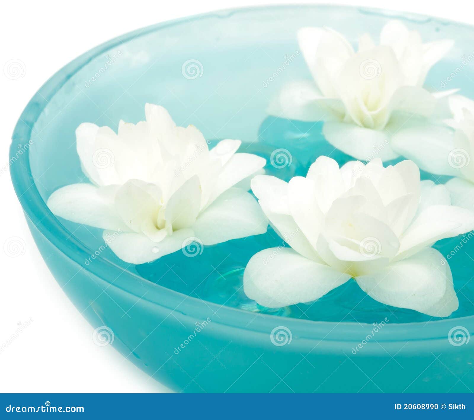 Beautiful Jasmine Flowers on Water in Bowl Stock Photo Image of copy