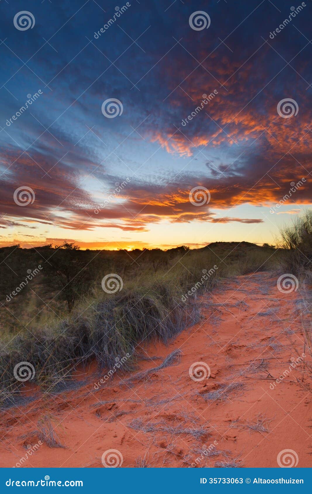 Beautiful Kalahari Sunset with Dramatic Clouds and Grass Stock Image Image of landscape