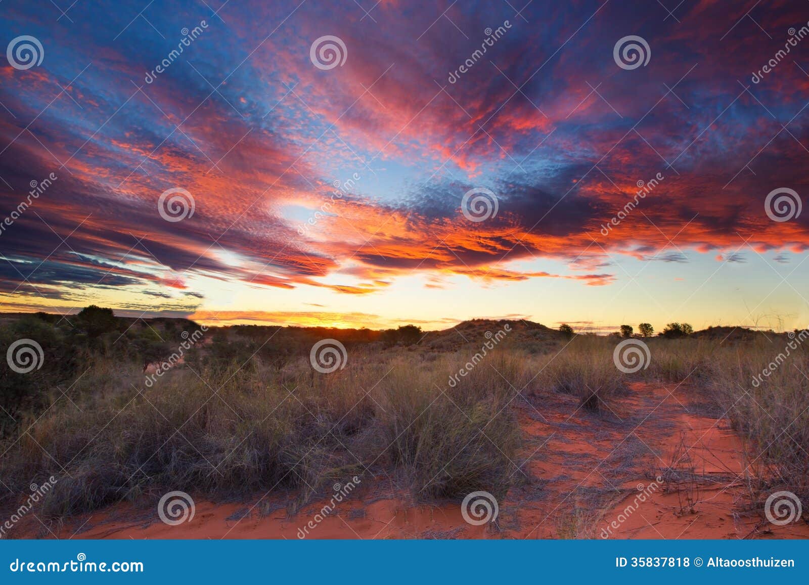 Beautiful Kalahari Sunset with Dramatic Clouds and Grass Stock Photo Image of cloudscape