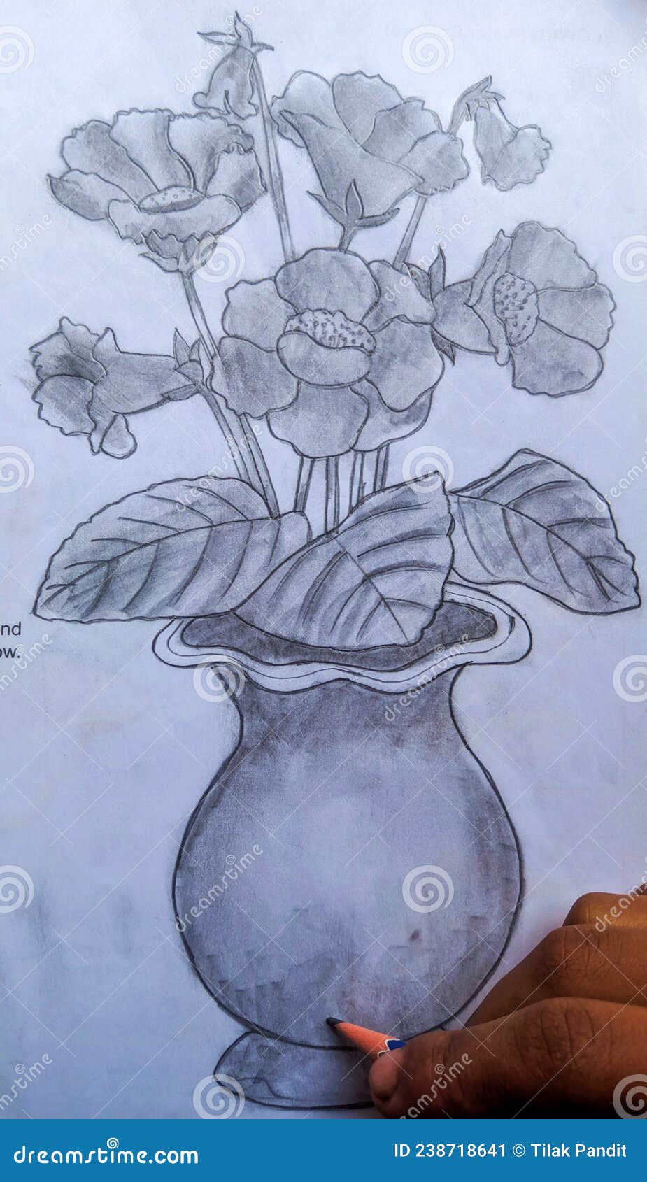 Flower pot sketch | Sketchlovers
