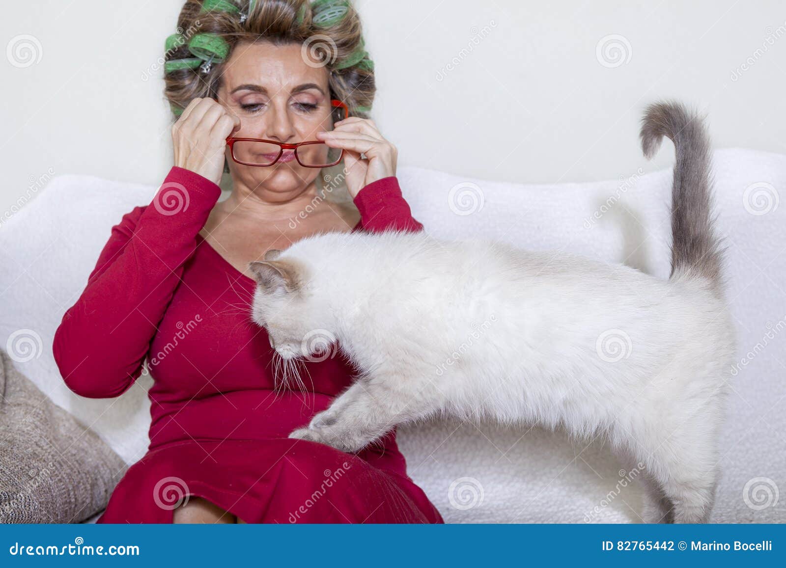 Beautiful Lady with Curlers Stroking the Cat Stock Photo Image of