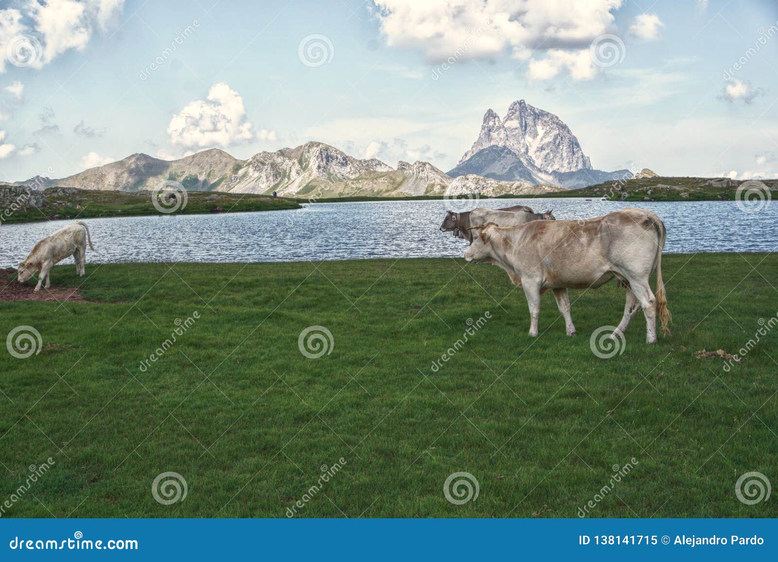 beautiful lake in pirineos mountains and animals.
