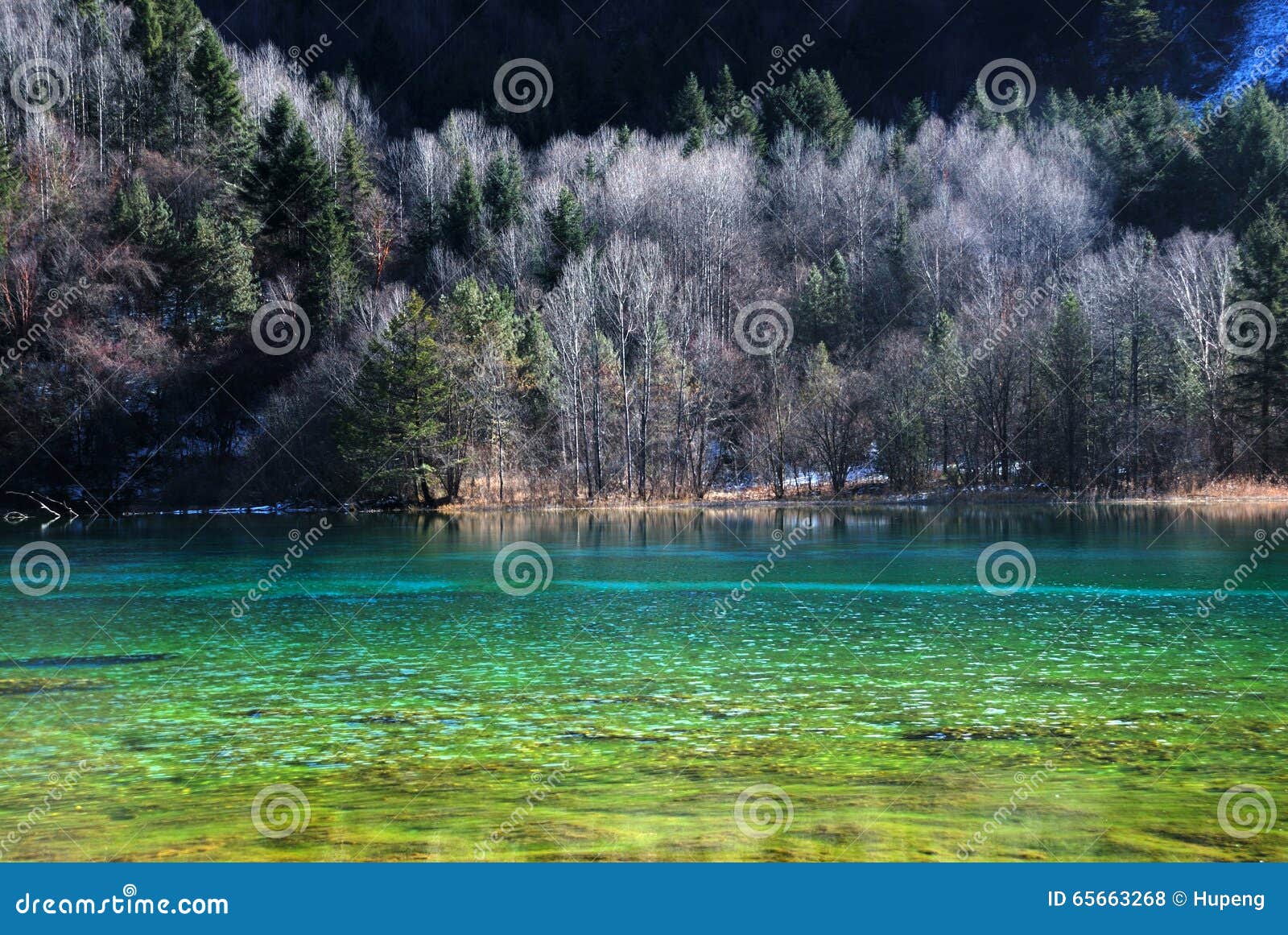 Beautiful Lake With Tree In Jiuzhaigou Stock Photo Image Of