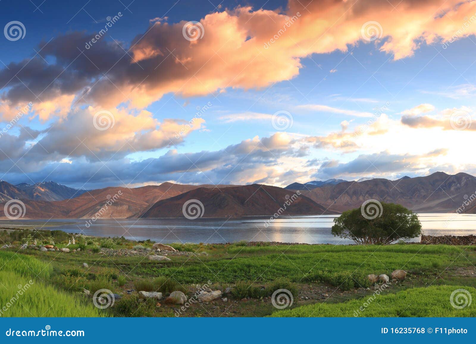 beautiful lake view pangong lake ladakh in