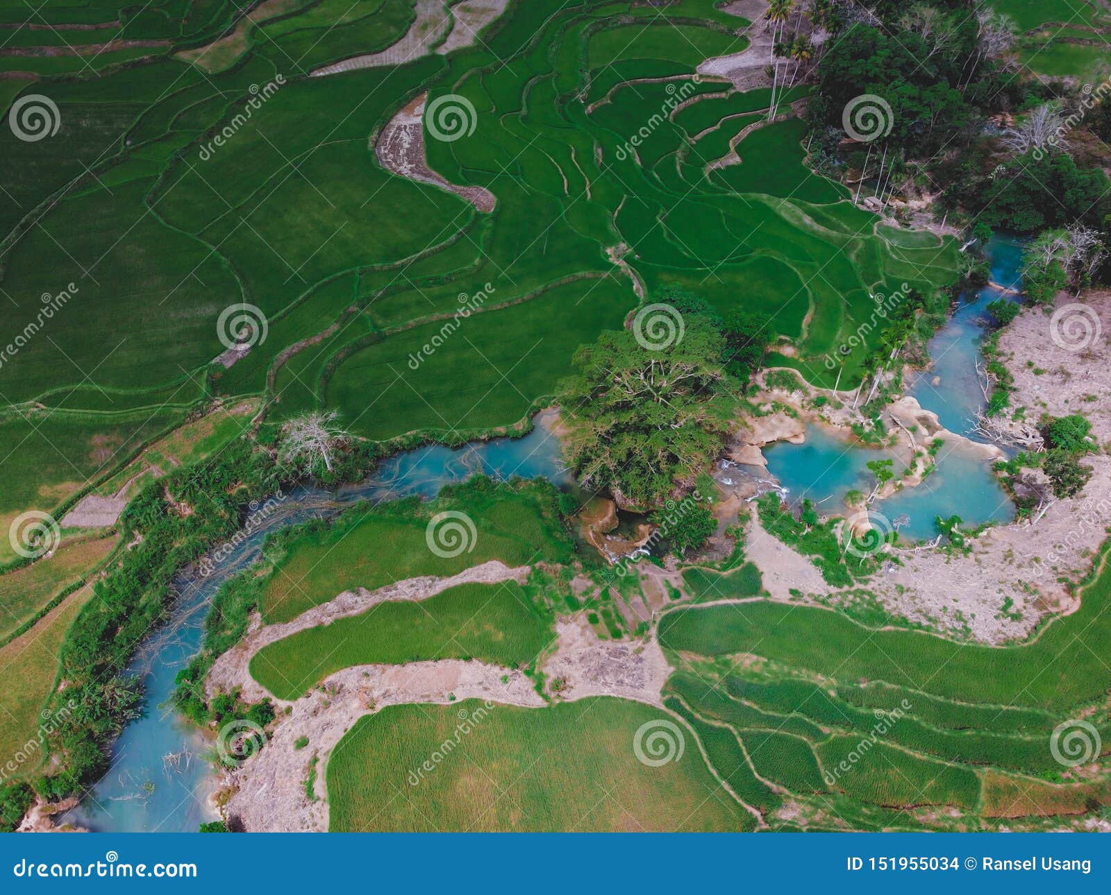 aerial view ricefield, sumba island, east nusa tenggara indonesia