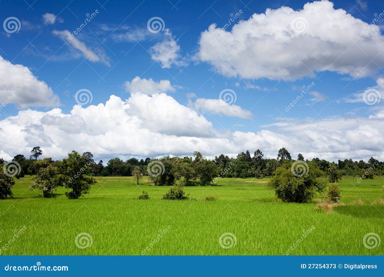 Beautiful Landscape Asia Stock Image Image Of Paddy 27254373