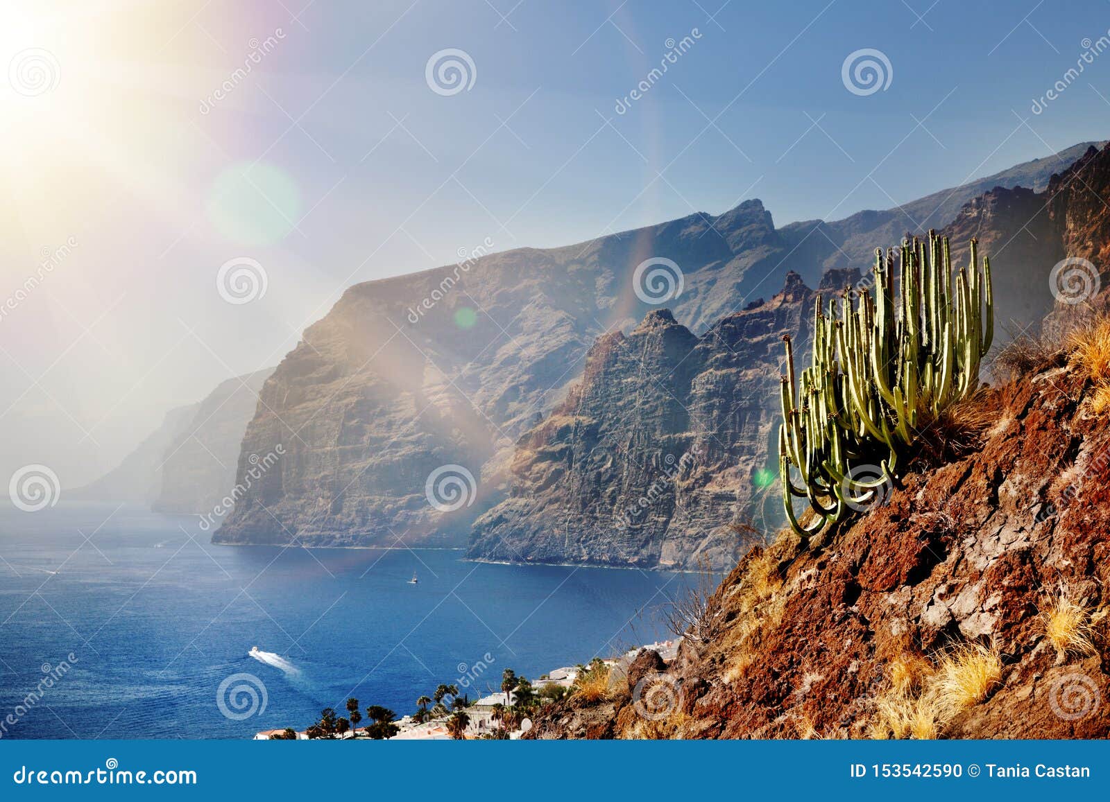 beautiful landscape of beach and coast with mountains and vegetation. impressive scene, cliffs of the giants. tenerife, canary isl