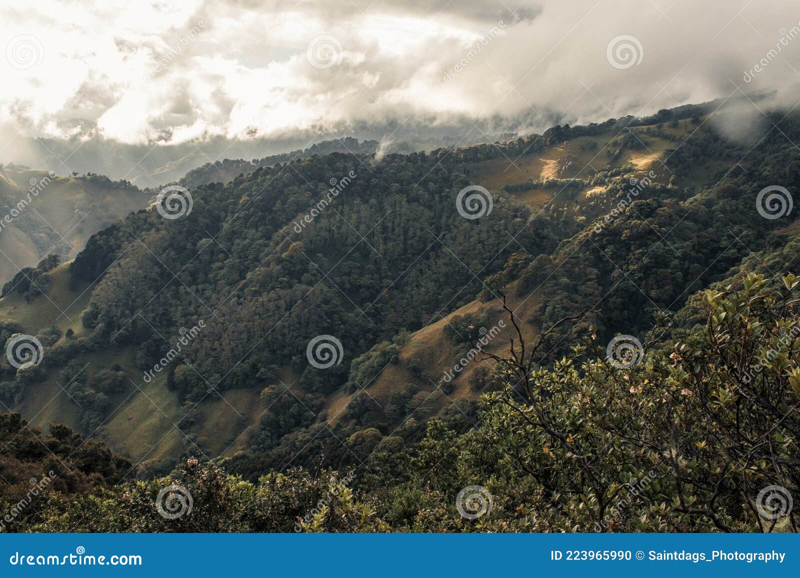 beautiful landscape with a cloudy morning in the green hills of escazu covered with bushes and trees