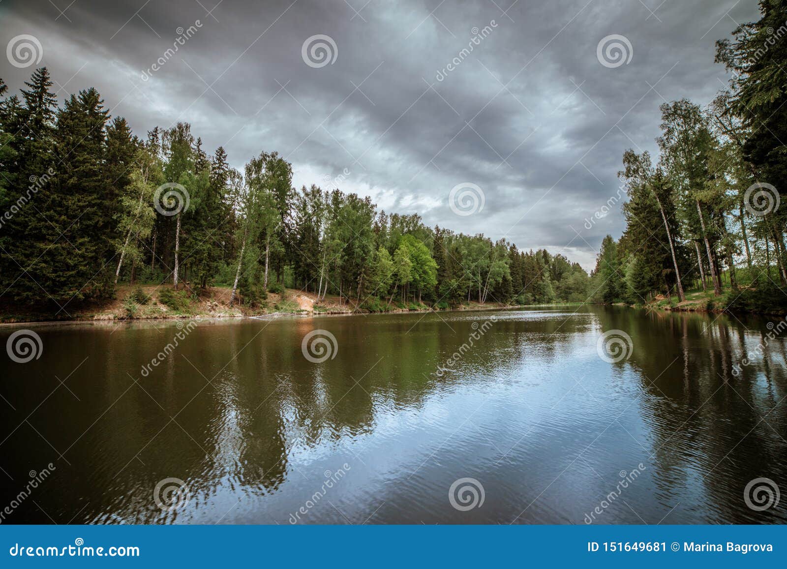 Beautiful Landscape of a Forest Lake. Cloudy Weather with Silver