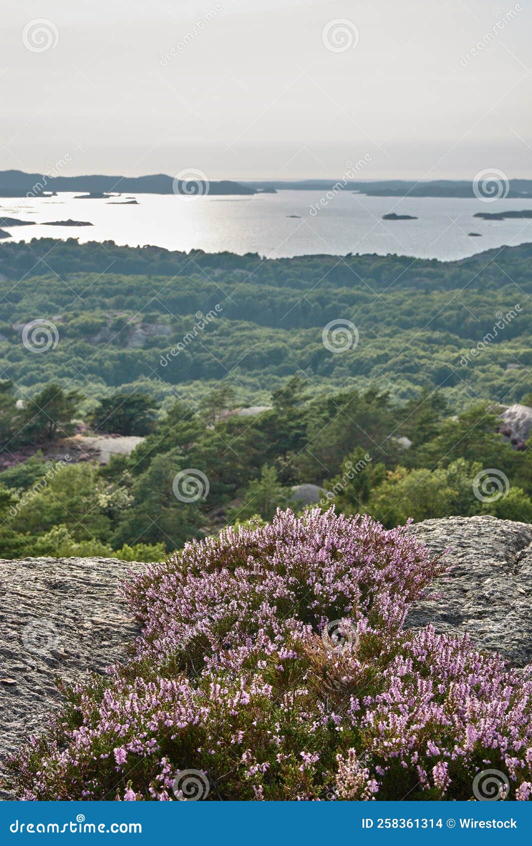 beautiful landscape of forests and lakes from the hill on the sunset, kladesholmen, norway