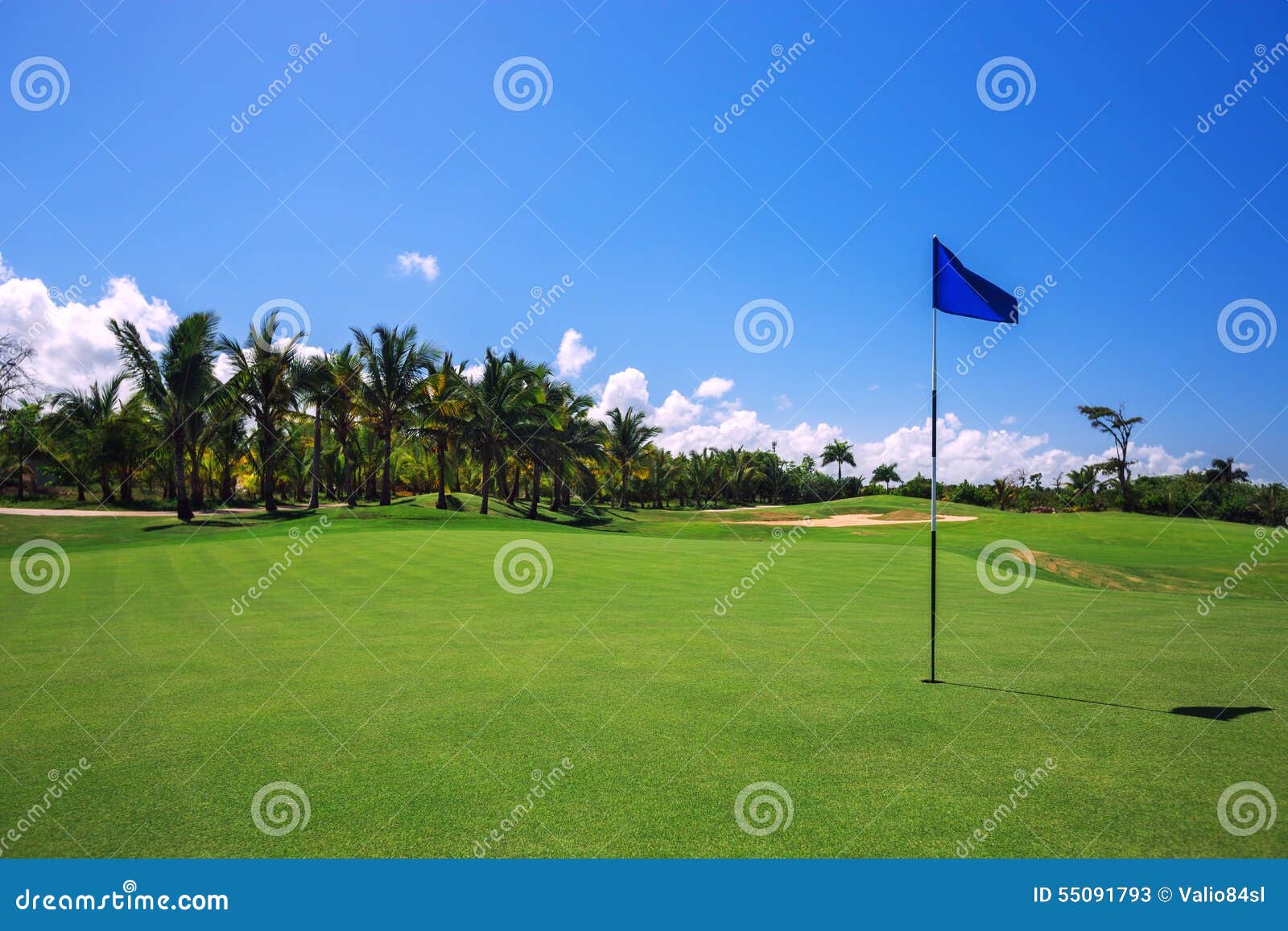 beautiful landscape of a golf court with palm trees