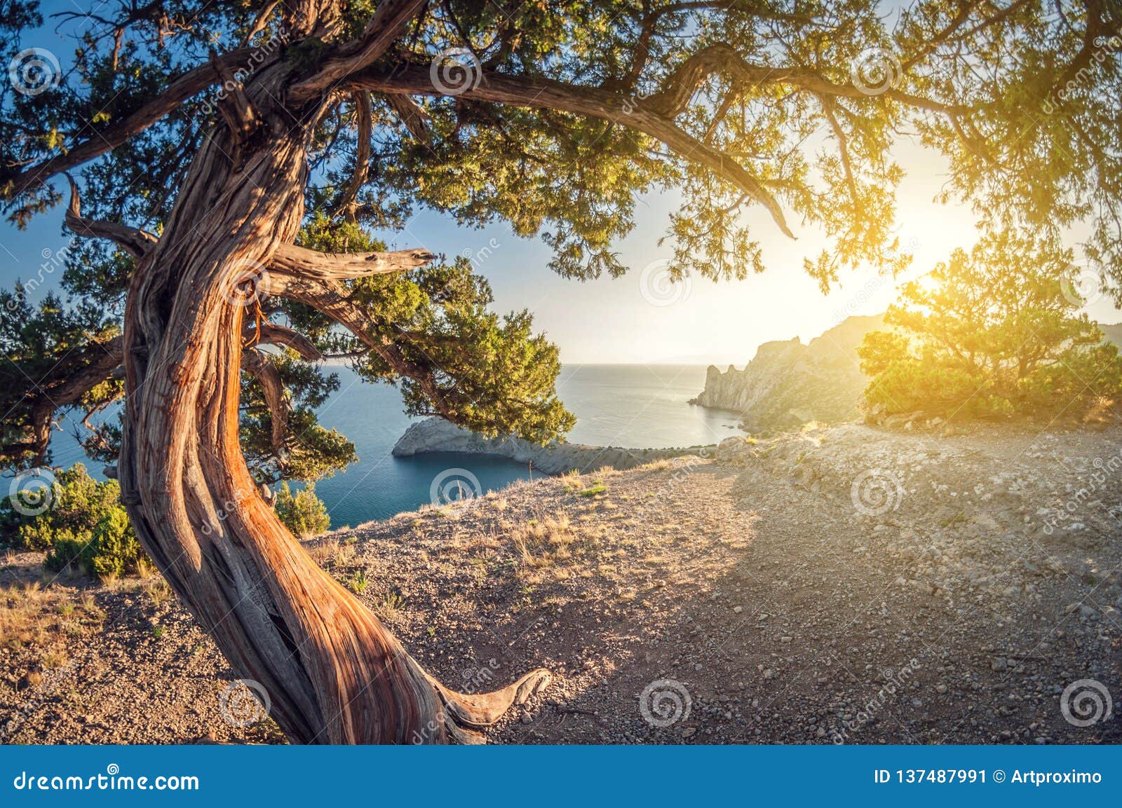 Download Beautiful Landscape High View From The Rocks To The Coast ...