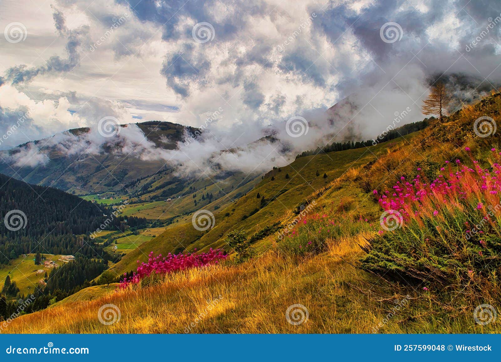 Beautiful Landscape with Mountains in the Clouds Stock Photo - Image of