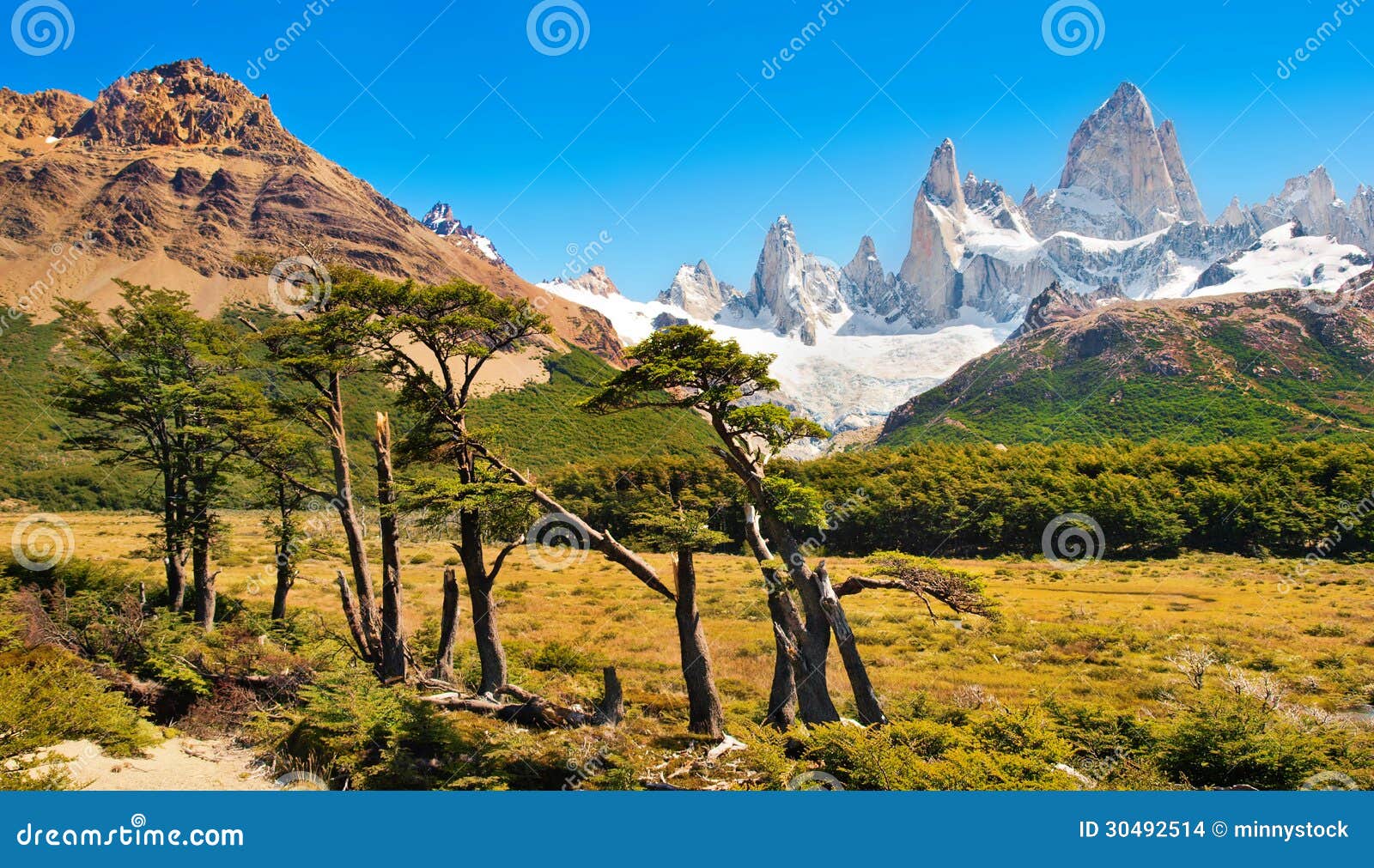 beautiful landscape with mt fitz roy in los glaciares national park, patagonia, argentina, south america