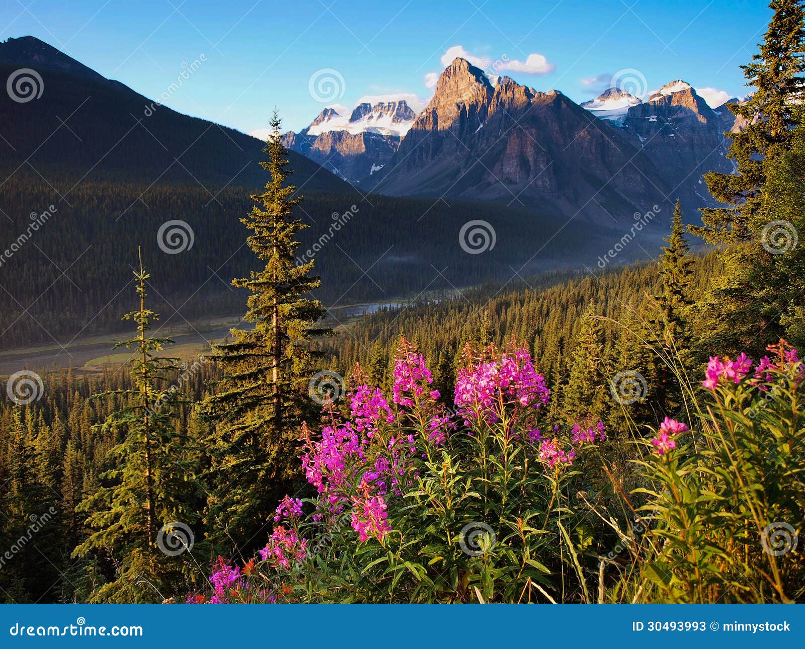 beautiful landscape with rocky mountains at sunset in banff national park, alberta, canada
