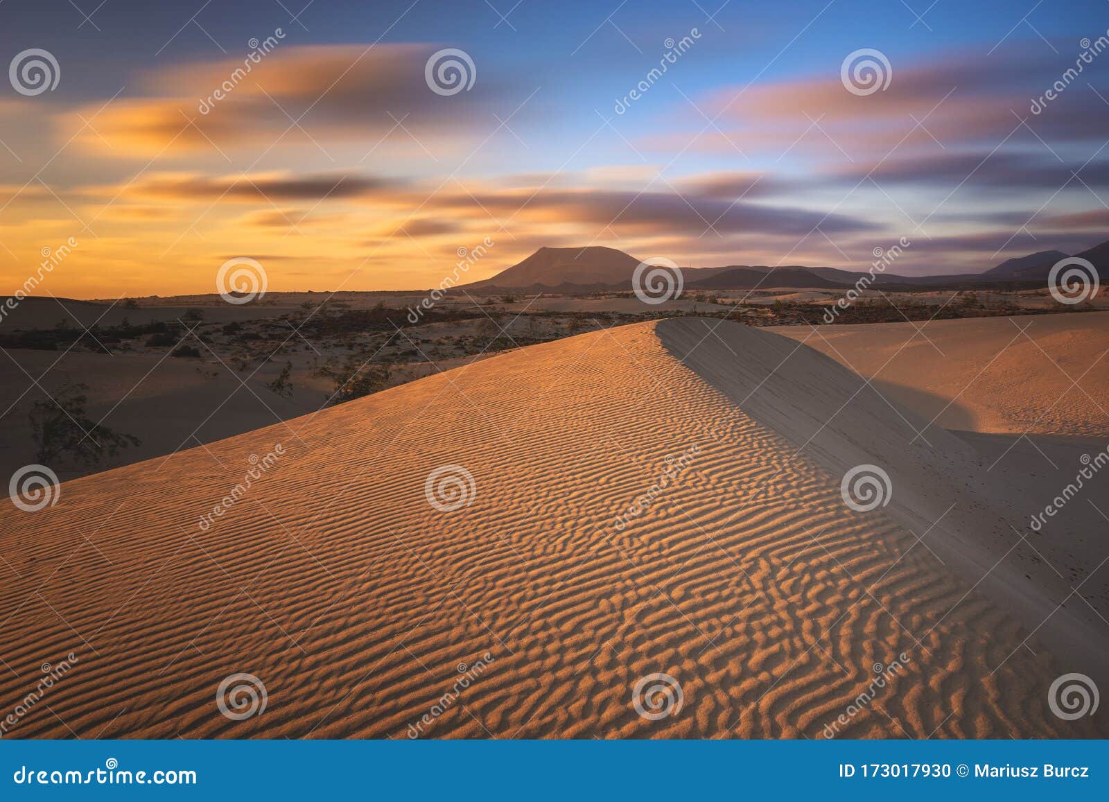 beautiful landscape of sand dunes in the national park of dunas de corralejo