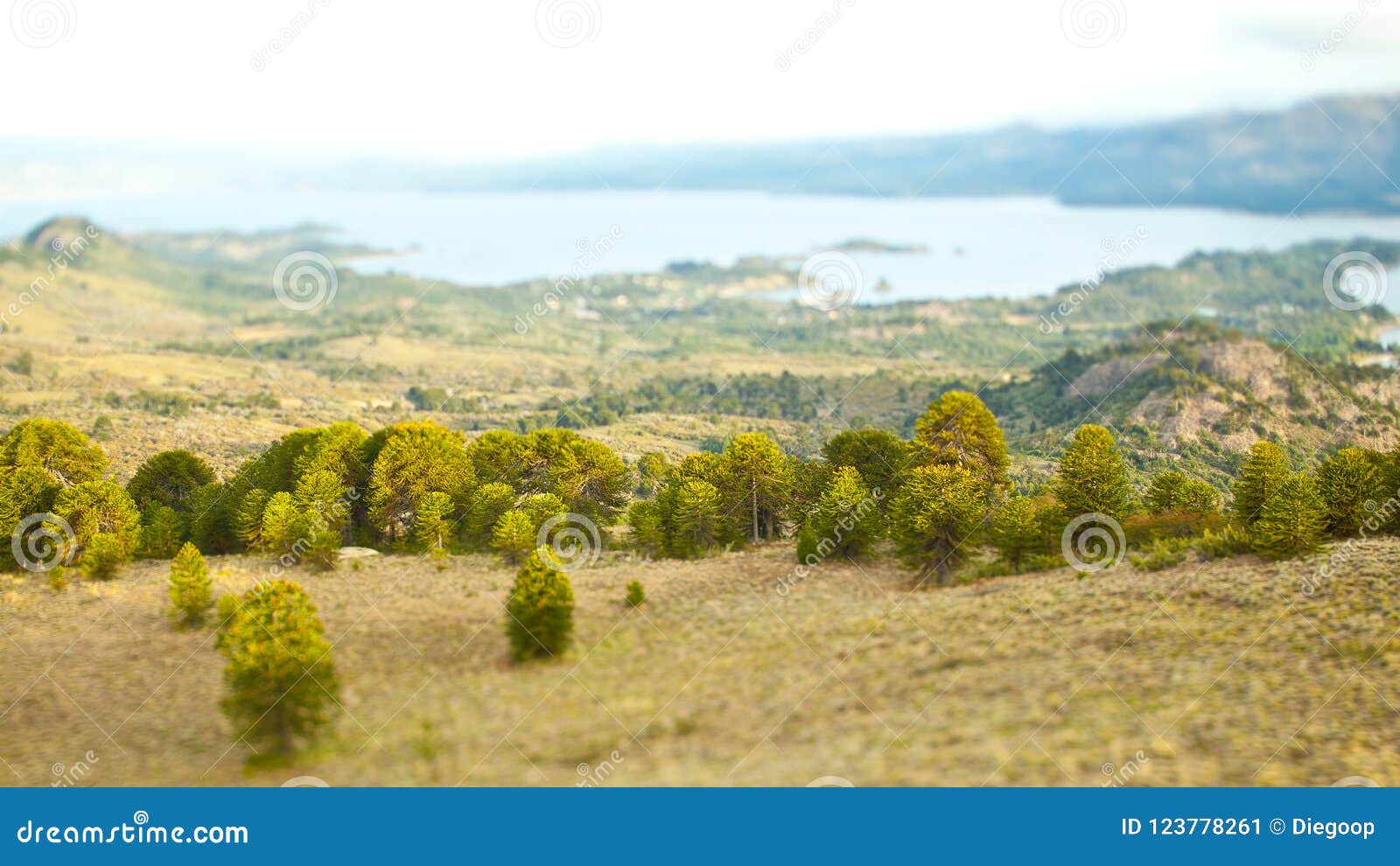 Trees Next To A Lake On A Tilt Shift Landscape Next To A Lake In The Mountains Stock Image Image Of Lake Field 123778261