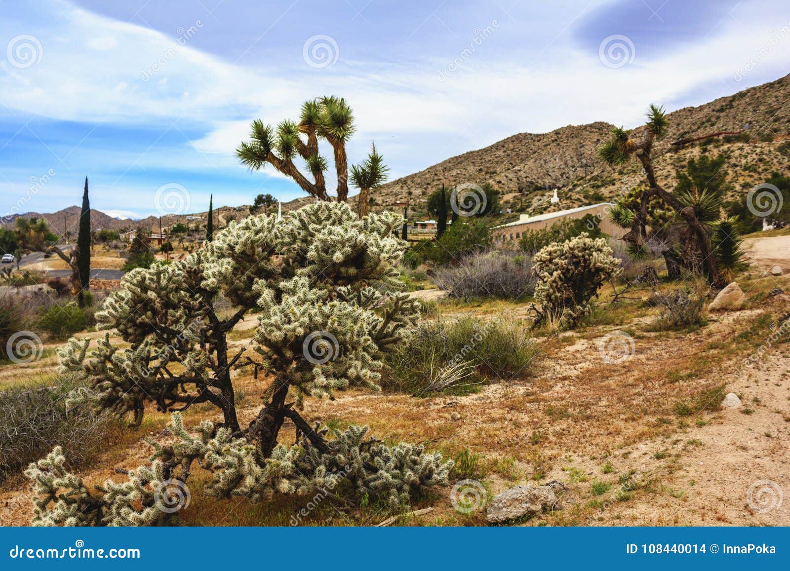 beautiful landscape view of southern california town of yucca valley, san bernardino county, california, united states.
