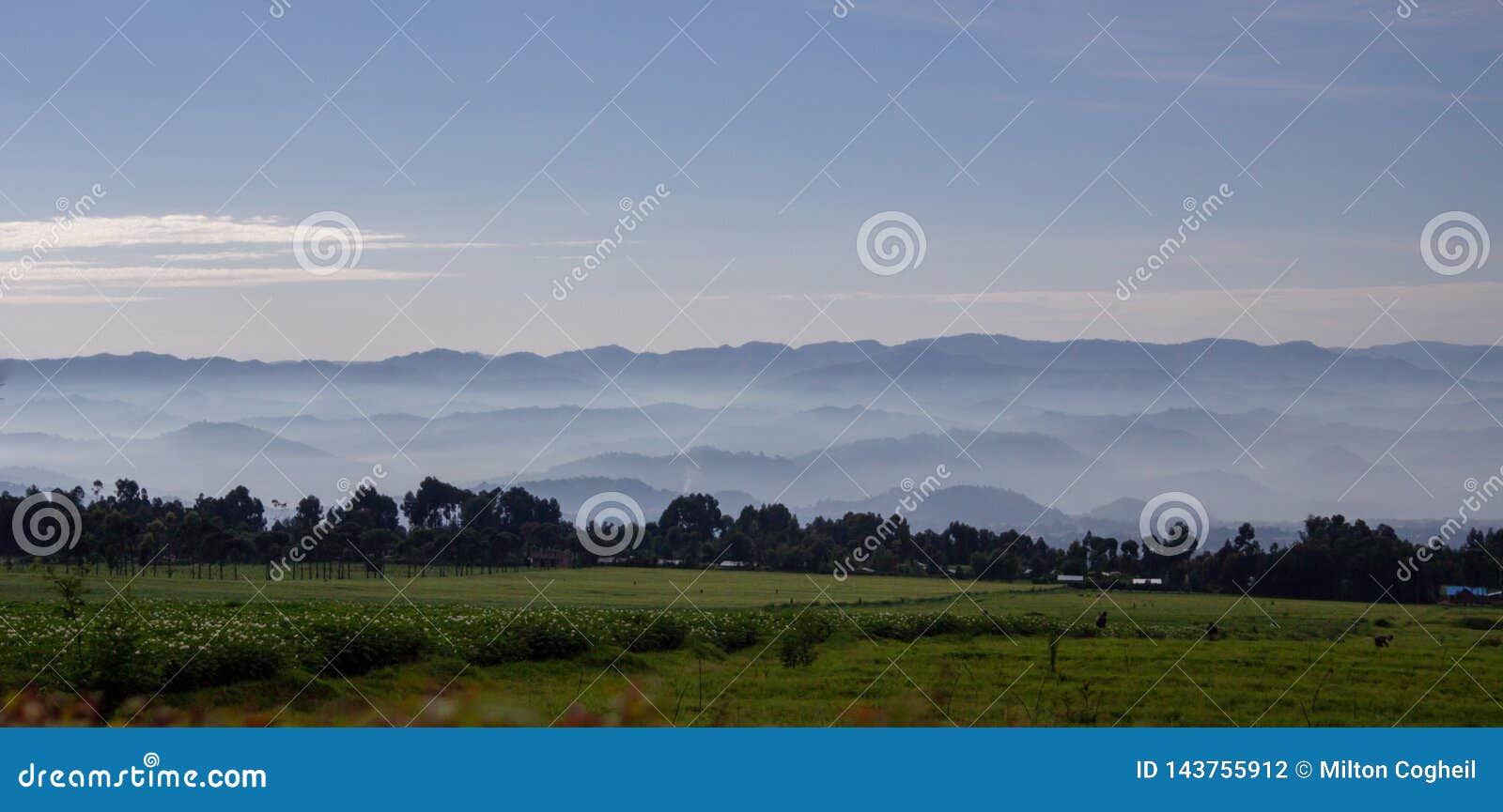 landscape of volcanoes national park, rwanda