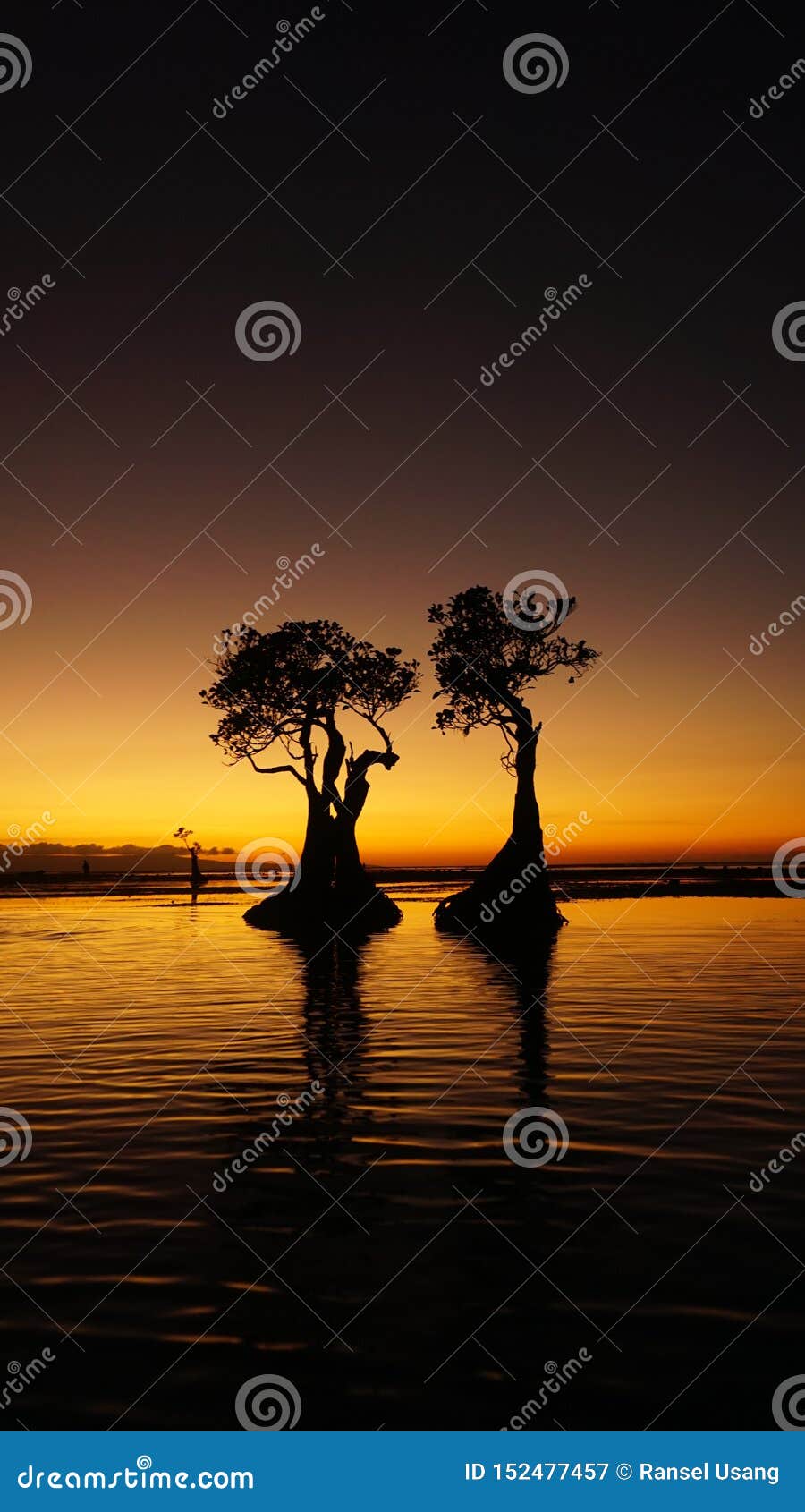 Beautiful Landscape at Walakiri Beach, Sumba Island Stock Image - Image ...