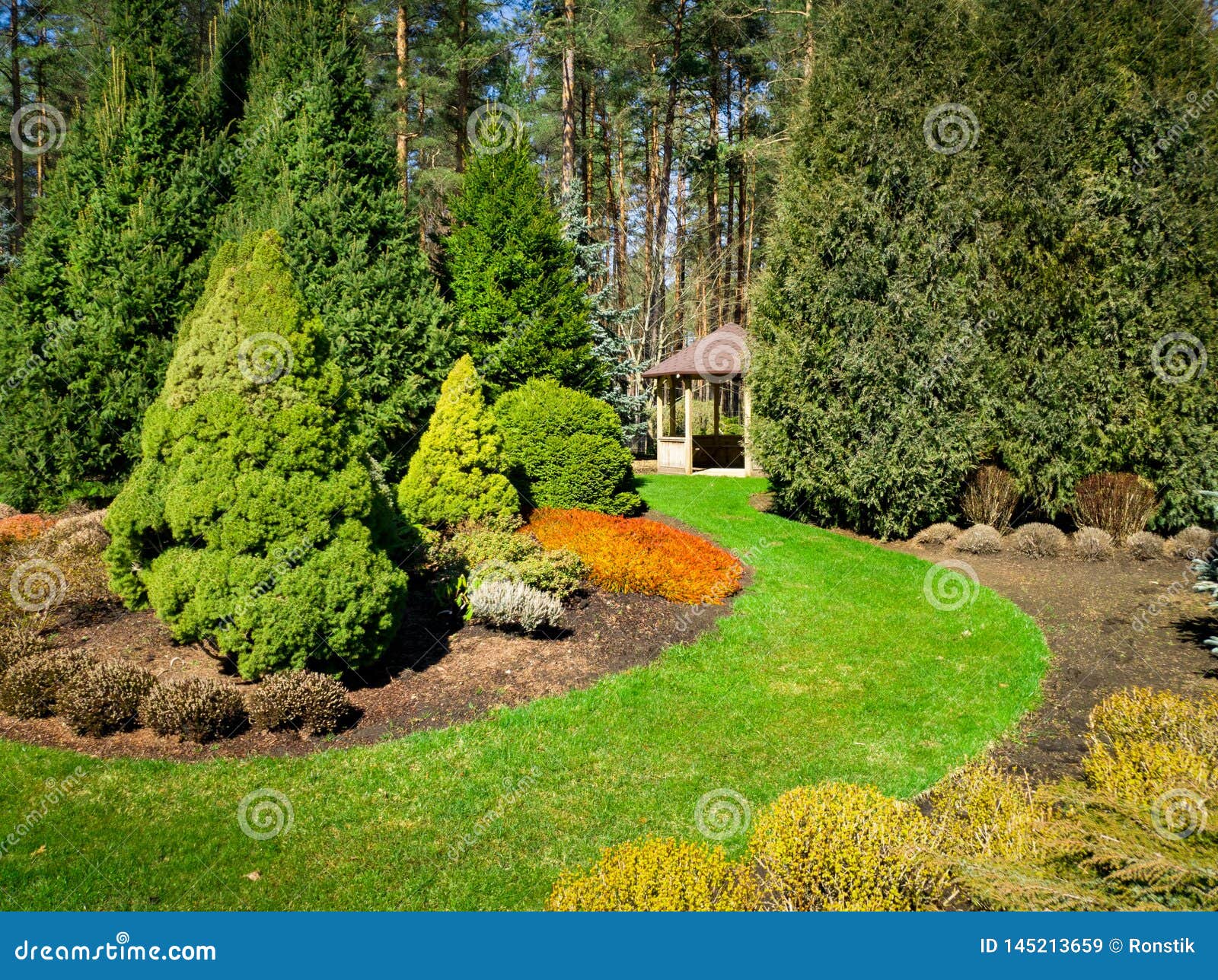 landscaped garden with conifers and bower