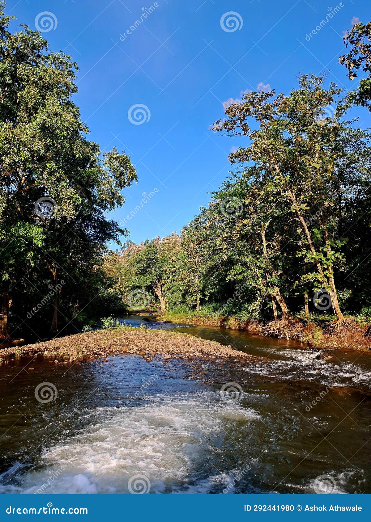 Beautiful Nature Forest Melghat Tiger Reserve Foto de stock 1593873850 |  Shutterstock