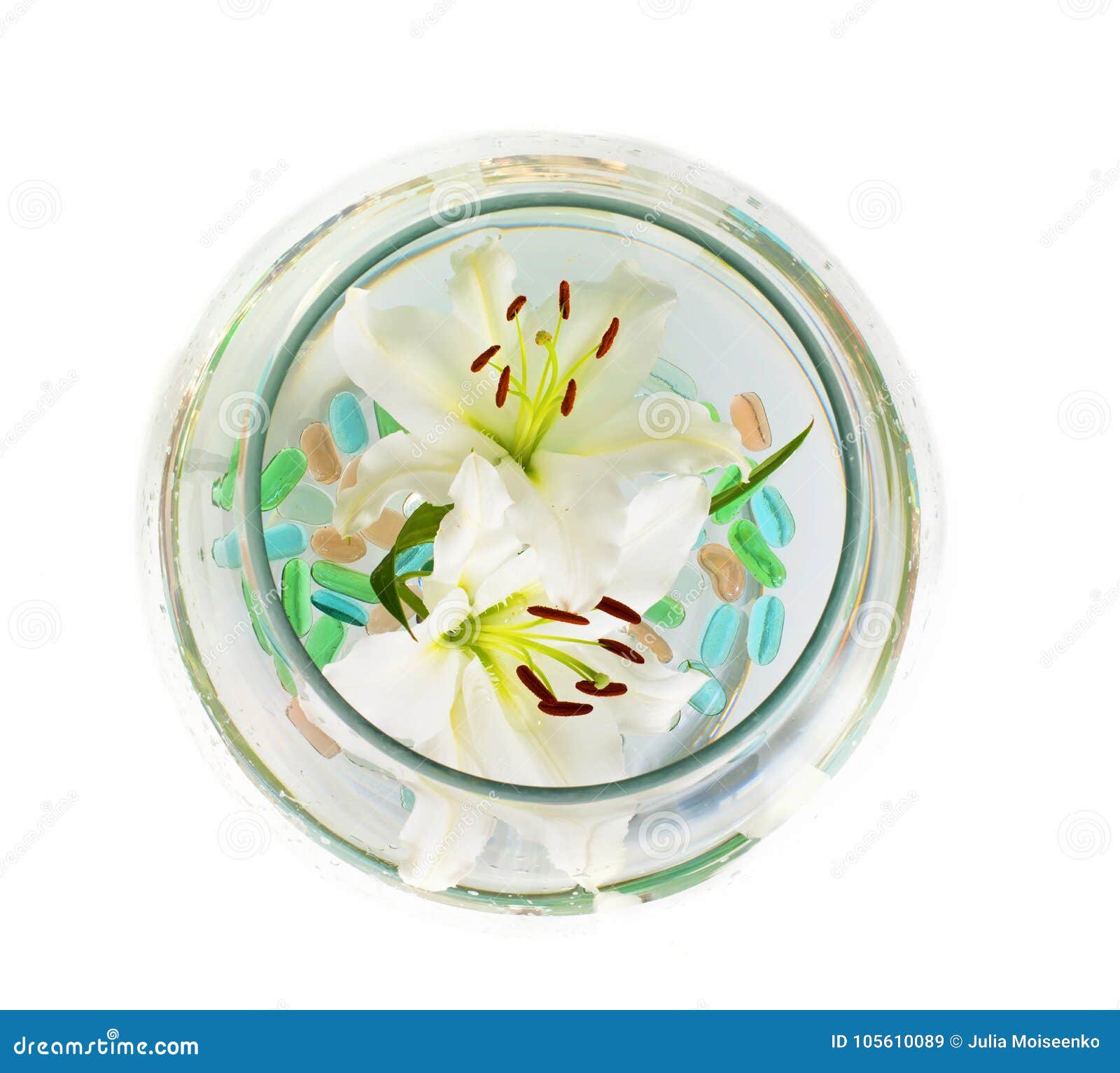 Beautiful Large Flowers of Lilies in a Glass on a White Background ...