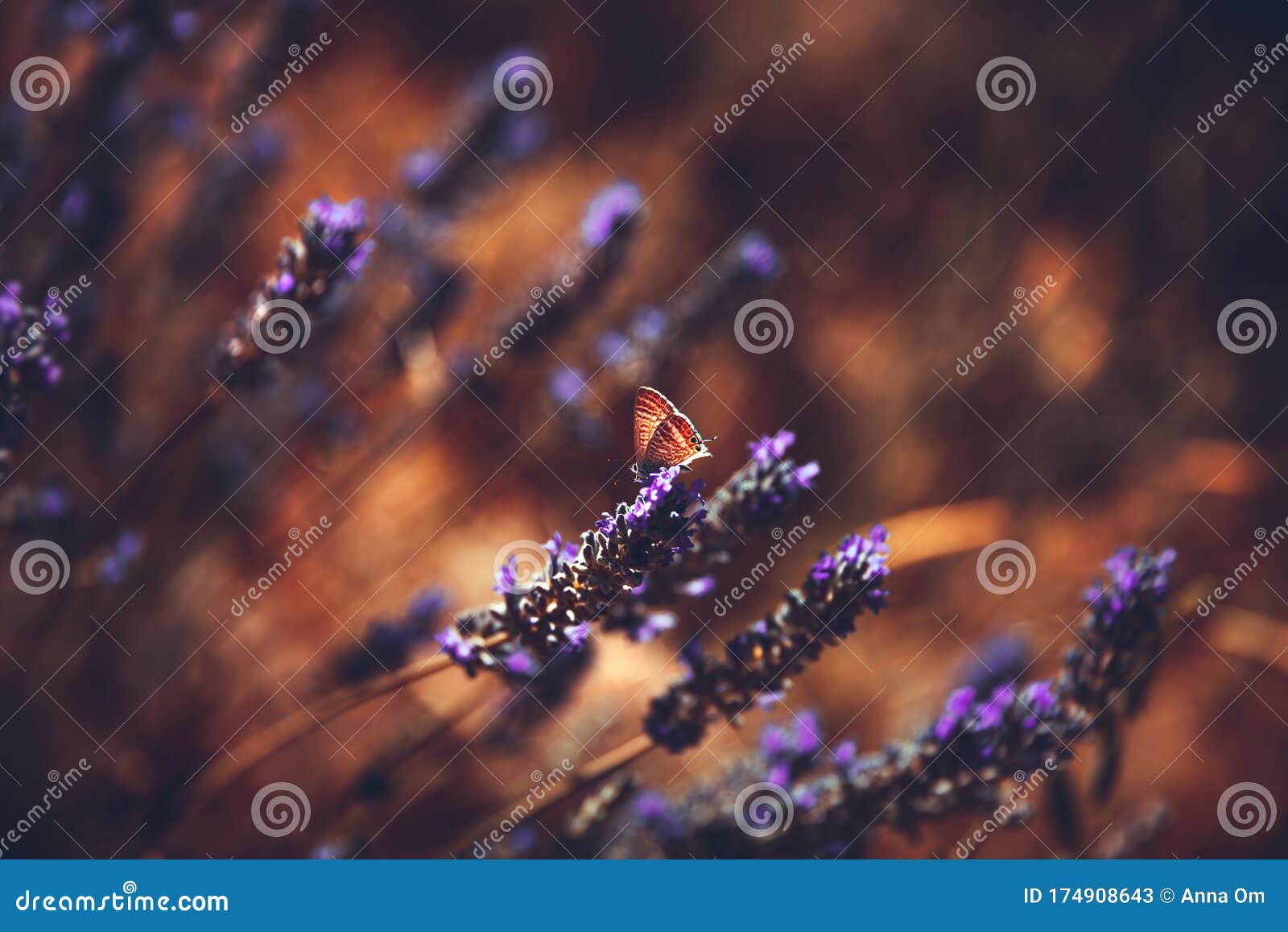 52,109 Nice Wallpaper Stock Photos - Free & Royalty-Free Stock Photos from Dreamstime 52,109 Nice Wallpaper Stock Photos - Free & Royalty-Free Stock Photos from Dreamstime