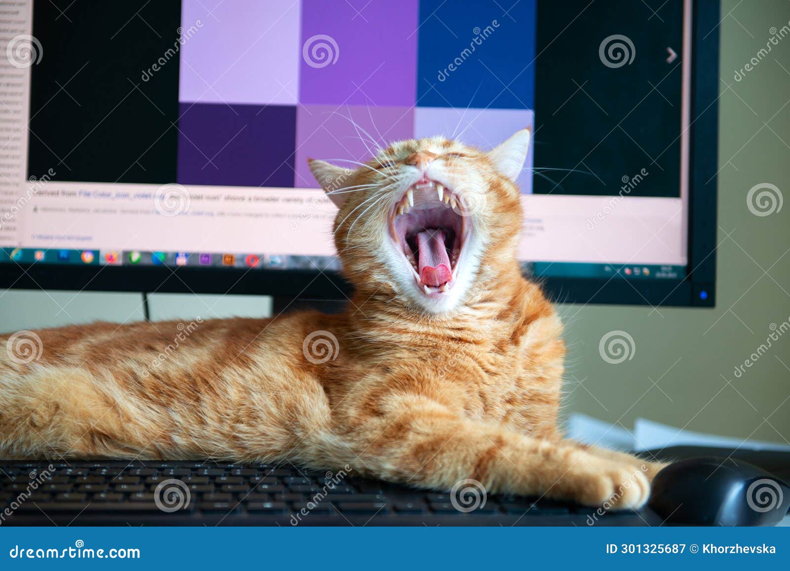 beautiful lazy ginger cat well-fed and satisfied sleeps at home working place near keypad