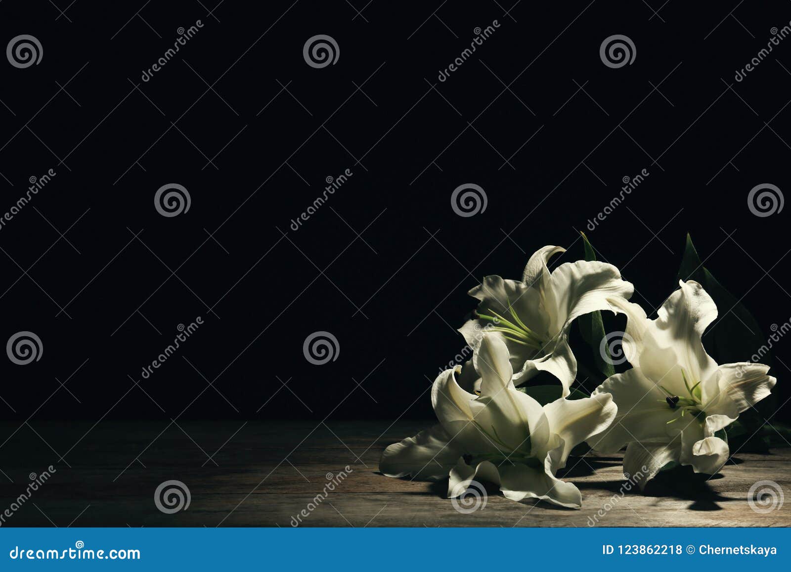 beautiful lilies on dark background wit
