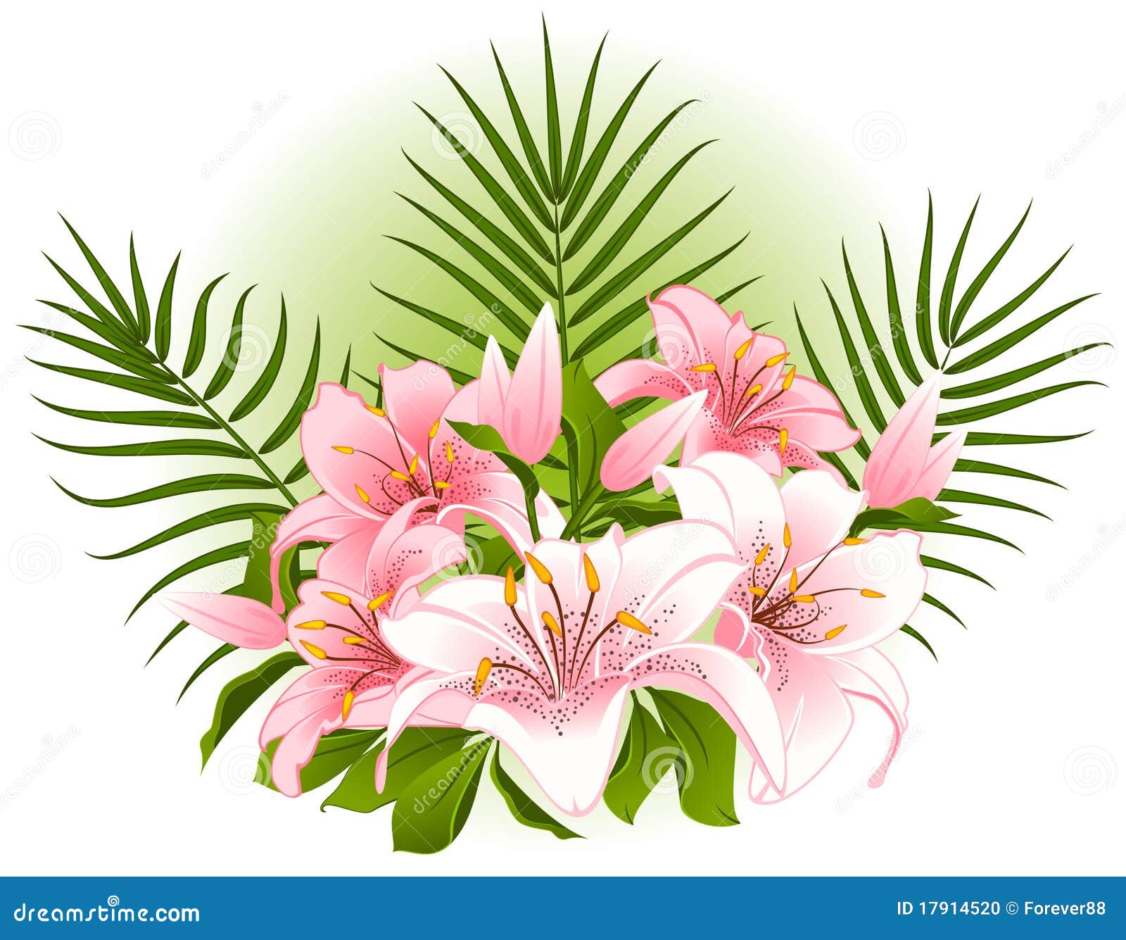 Beautiful Lily bouquet stock vector. Illustration of romantic 17914520