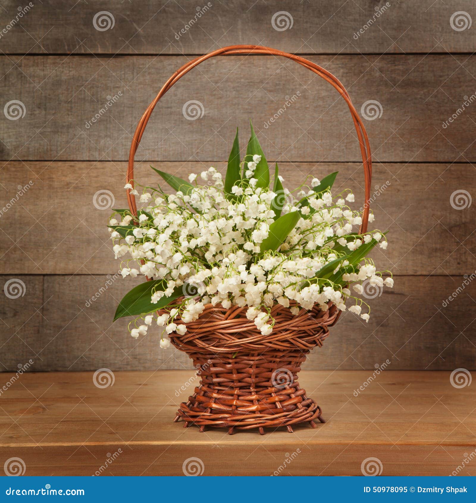 Beautiful Lily of the Valley in a Basket Stock Image Image of beauty, basket 50978095