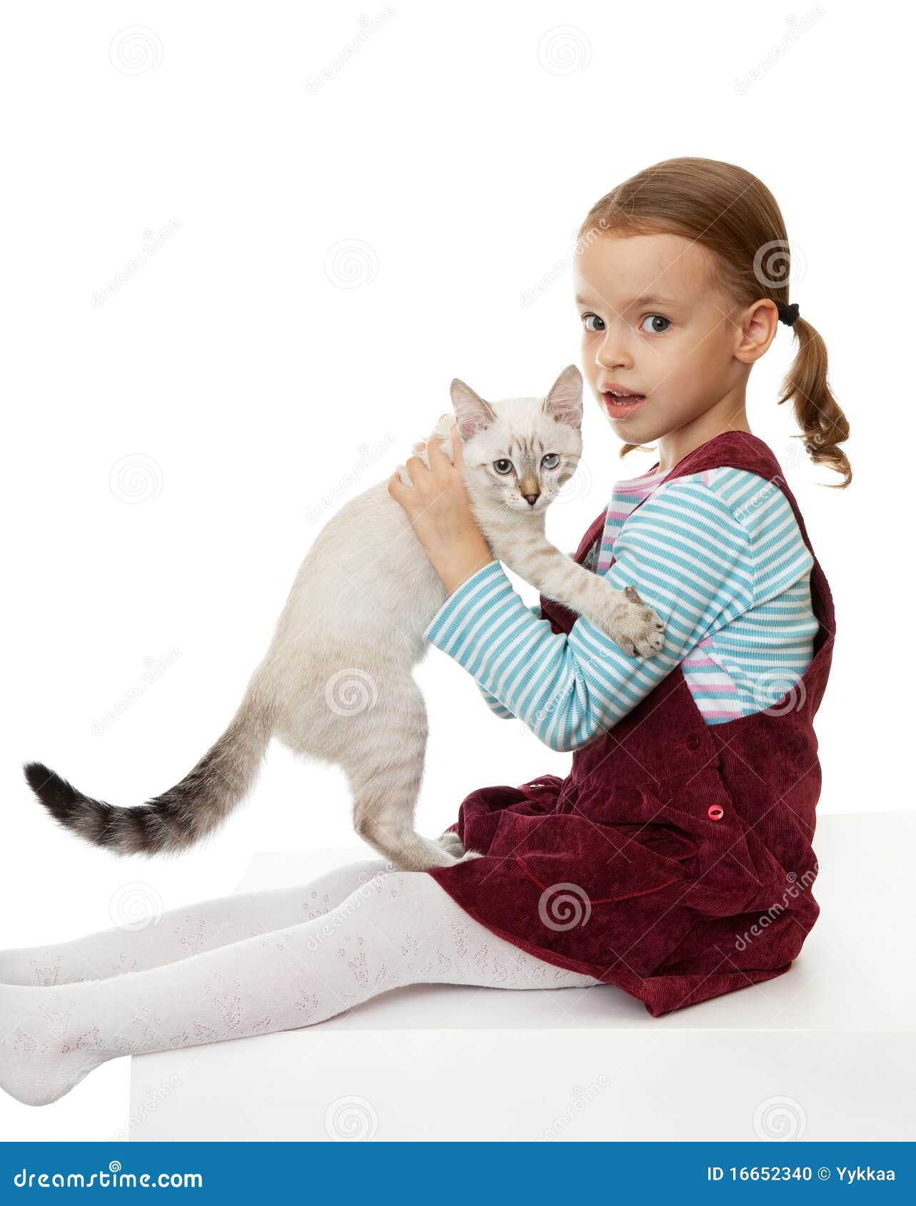 Beautiful Little Girl with a Kitten. Stock Photo Image of caring