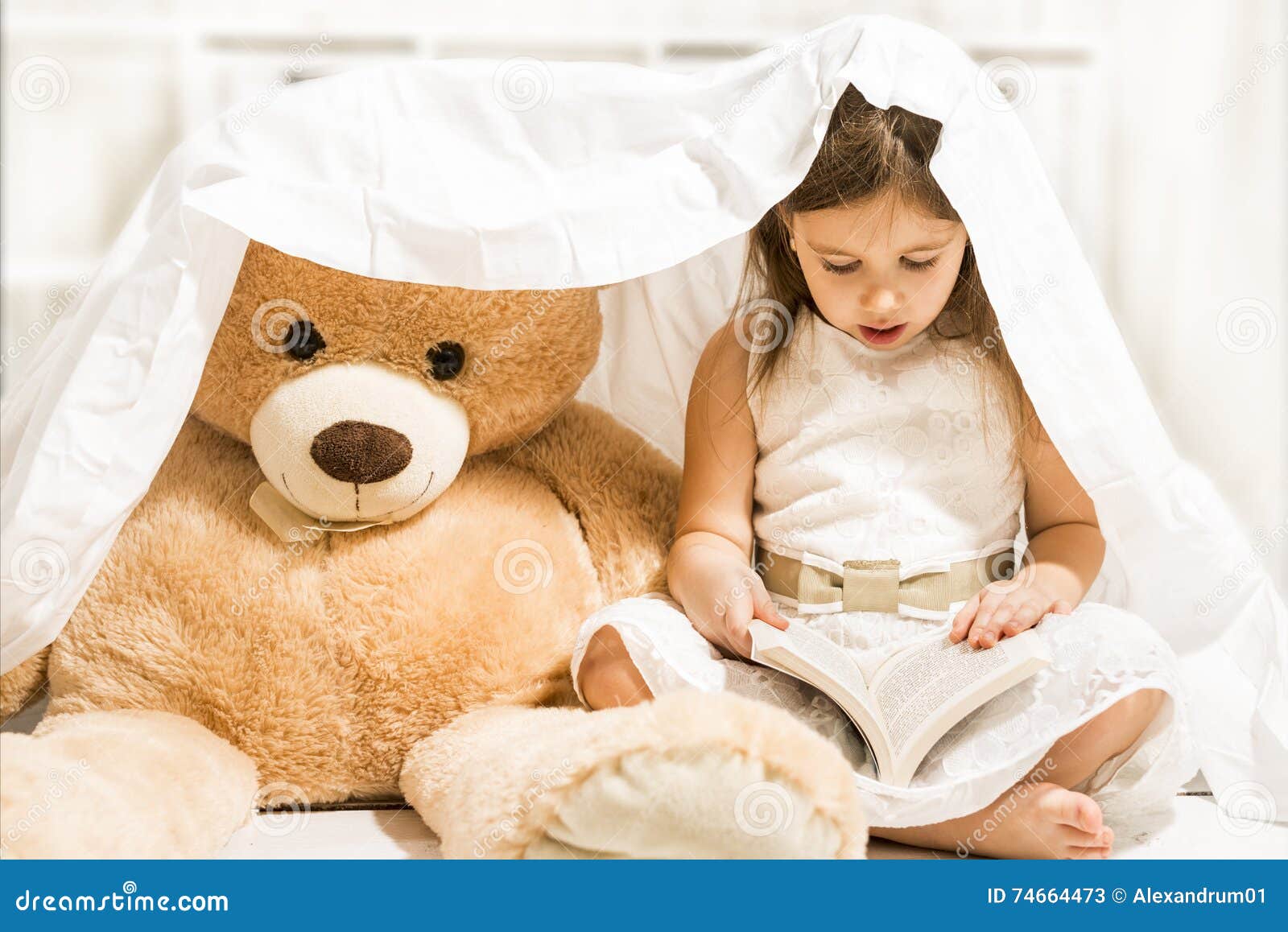 teddy bear reading clipart - photo #47