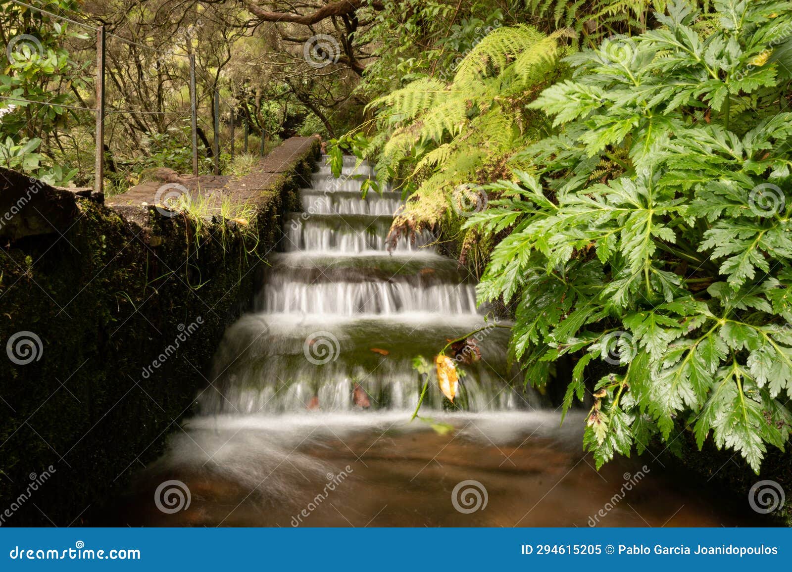 beautiful little waterfall on the creek of levada das 25 fontes